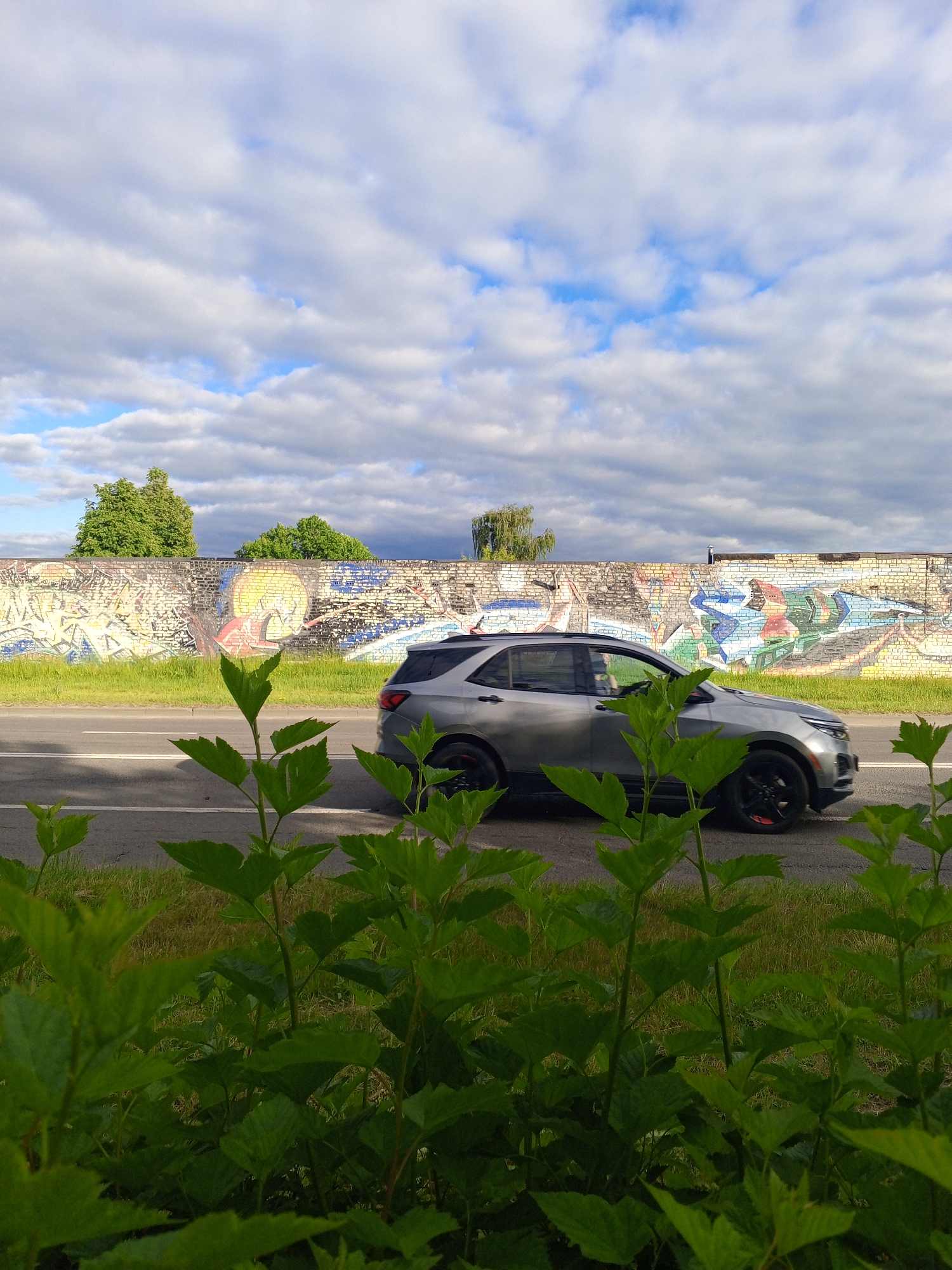 This image captures a daytime scene at an unknown location within the city of Unknown, Unknown. The perspective is low, looking past a dense foreground of green-leafed plants. A paved road with a solid white line and a dashed white line occupies the midground. A silver-grey SUV, possibly a Chevrolet Equinox, is in motion on the road, traveling from right to left. The vehicle features black wheels with a subtle red ring accent. Behind the road, a strip of green grass separates it from a long, light-colored brick wall that spans the width of the frame. This wall is heavily adorned with multi-colored graffiti art. Above the wall, several green trees are visible, including a weeping willow on the far right. The sky overhead is partly cloudy, displaying a mix of white and grey cumulus clouds against patches of blue. Natural light illuminates the scene, casting soft shadows. There are no individuals discernible in the photograph.
