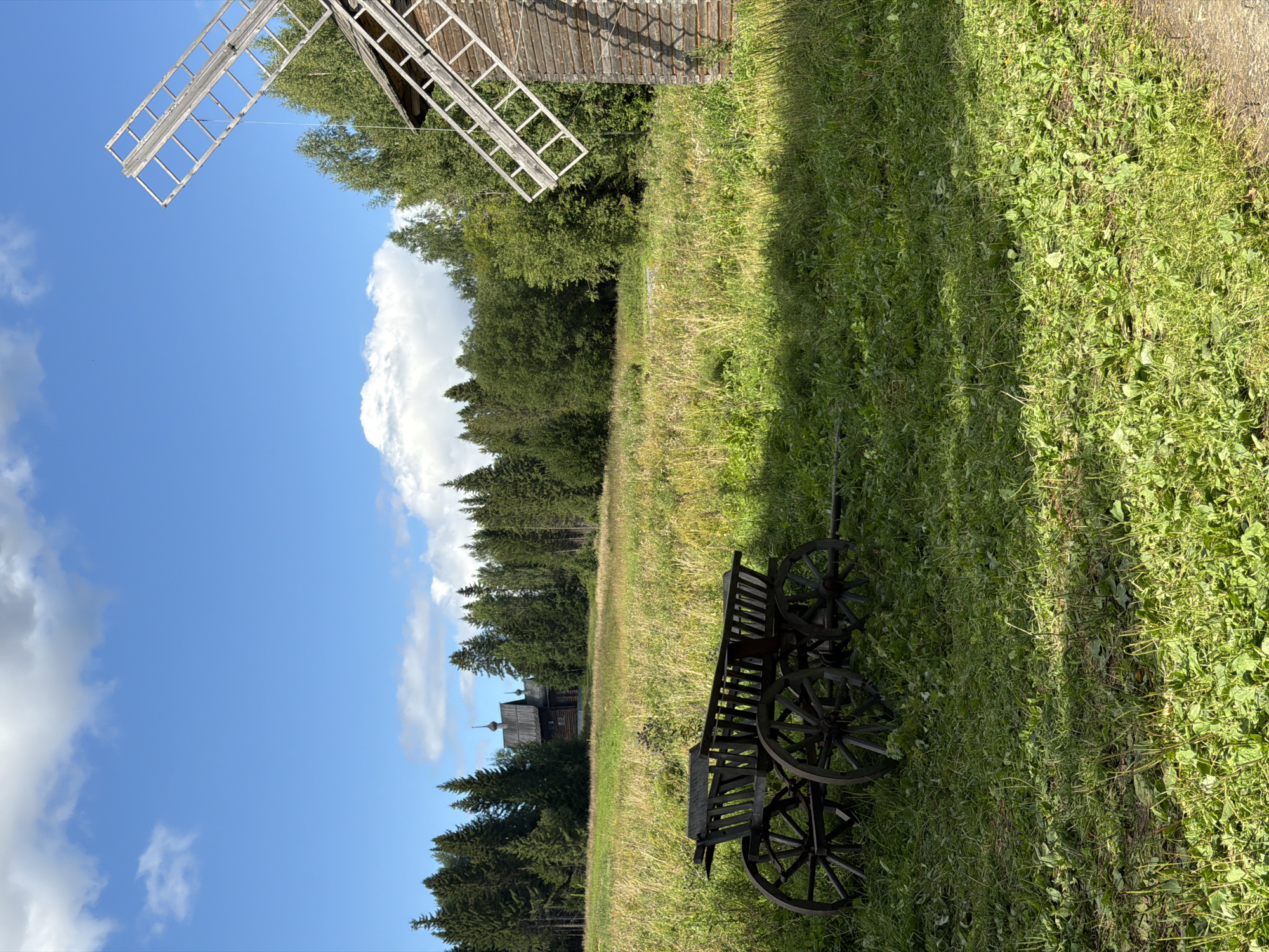 An outdoor scene in Gora (Khokhlovskoe S/P), Russia, features a traditional wooden windmill on the right side of the frame. The windmill is partially visible, with its wooden structure and one of its large, slatted sails extending into the blue sky. In the foreground, a weathered wooden cart with two sets of large wooden wheels sits on lush green grass. Behind the cart, a field of tall, dry grass stretches towards a dense forest of green pine trees. In the distance, nestled among the trees, a dark wooden building with a domed roof, possibly a church or other historical structure, is visible. The sky above is bright blue with scattered white clouds, indicating a sunny day. The overall impression is one of a rural, rustic landscape.