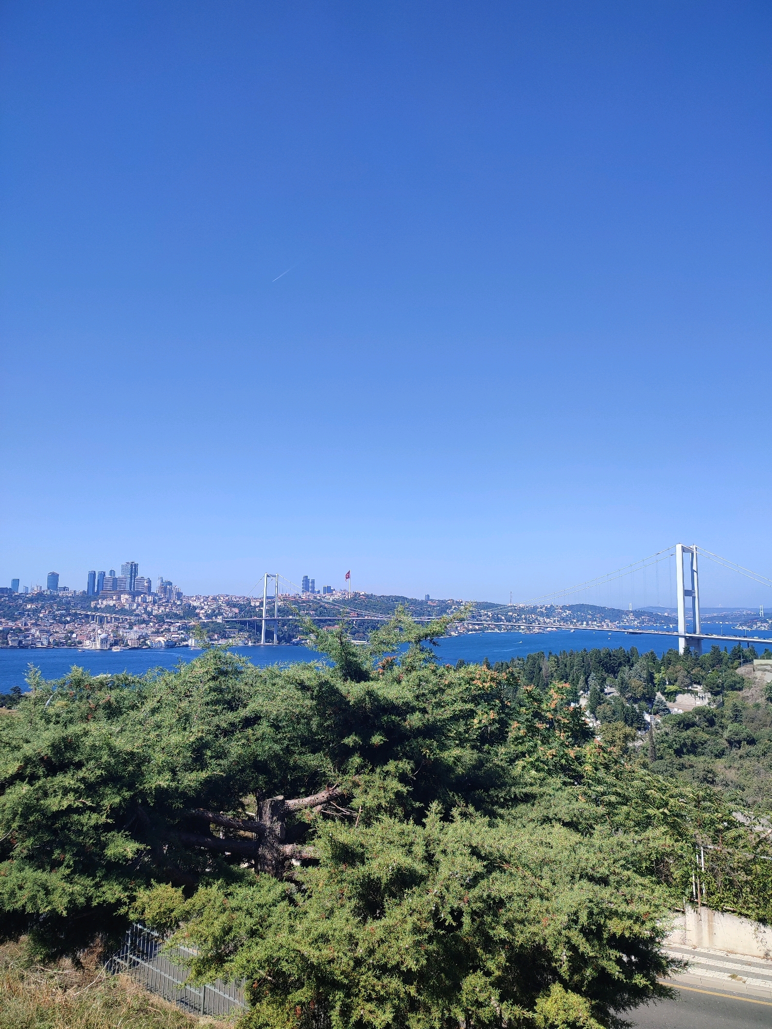 An aerial view captures the Bosphorus Strait in Üsküdar, Turkey, under a clear, cloudless blue sky. In the foreground, lush green trees with dense foliage dominate the lower half of the frame. Beyond the trees, the bright blue water of the Bosphorus stretches across the mid-ground. On the far side of the strait, a cityscape unfolds, characterized by numerous buildings of varying heights, including a cluster of modern skyscrapers. A prominent suspension bridge, with its white towers and cables, spans the strait from right to left, connecting the two sides of the city. Smaller boats are visible on the water, and the distant shores are dotted with trees and buildings. A Turkish flag flies from a pole atop a hill on the right side of the frame.