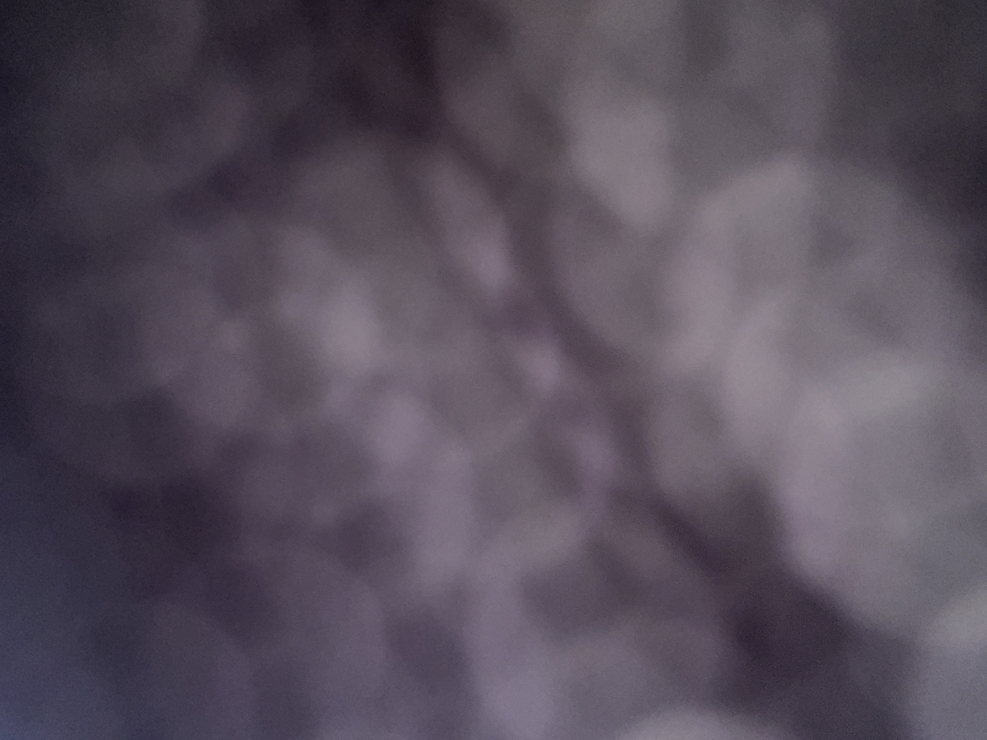 The image depicts an abstract, out-of-focus scene with blurred shapes and muted colors, primarily shades of gray and purple. There are no discernible people, objects, actions, or interactions. The overall impression is one of a soft, diffuse background, possibly suggesting a textured surface or atmospheric effect. Due to the lack of specific details and the abstract nature of the image, it is impossible to determine its location within Elin Pelin, Bulgaria, or any other specific context.