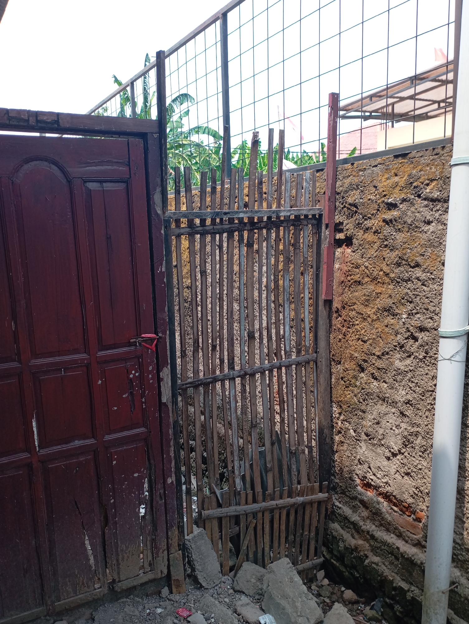 The image depicts an outdoor scene with a weathered, dark red wooden door on the left, partially ajar. The door is secured with a small, red loop of material. To the right of the door is a gate constructed from vertical bamboo poles, bound together with horizontal bamboo. This bamboo gate is positioned against a rough, textured wall that appears to be made of stone or concrete, with visible layers of earth and some moss. Behind the bamboo gate, banana leaves are visible, suggesting a tropical or subtropical environment. A white PVC pipe runs vertically along the right edge of the frame, attached to the wall with a light green tie. In the background, a metal grid fence is visible, with a building structure with a metal roof behind it. The ground in the foreground is littered with rocks and debris. The overall impression is of an alleyway or a backyard area in a somewhat neglected state, possibly in Kecamatan Haurgeulis, Indonesia, given the context. There are no people visible in the image.