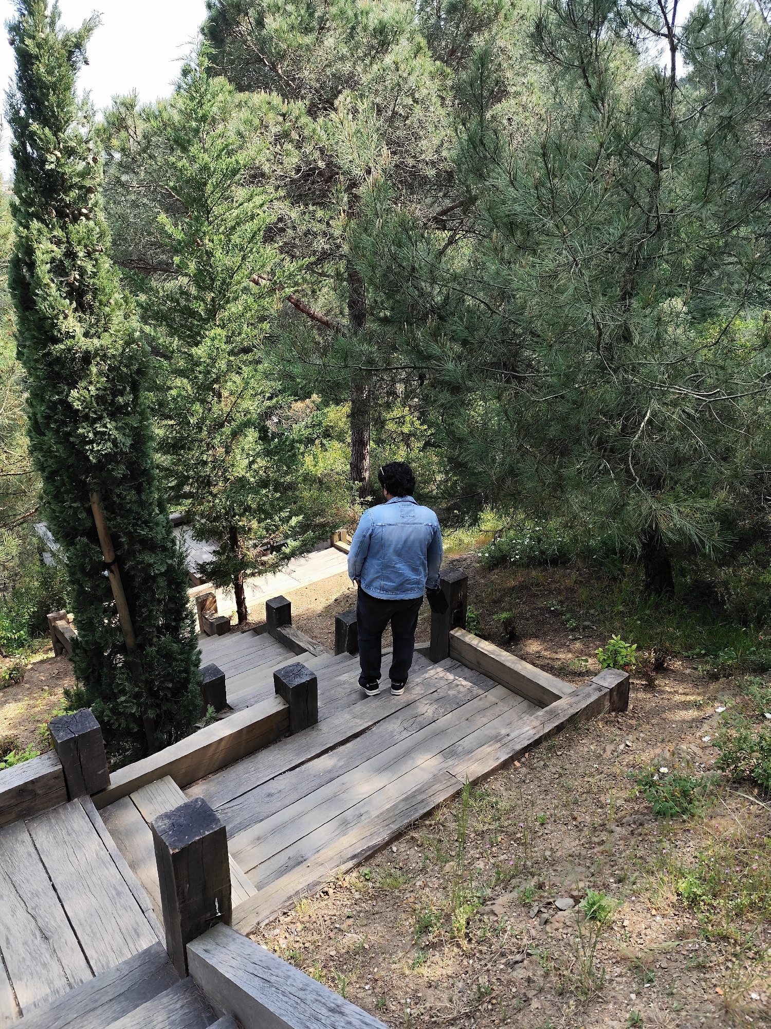 A man stands at the top of a wooden staircase in Sarıyer, Turkey, facing away from the camera. He is wearing a denim jacket, dark pants, and white sneakers. The staircase leads down a slope into a densely wooded area with various types of trees. The scene is captured in daylight with natural lighting.