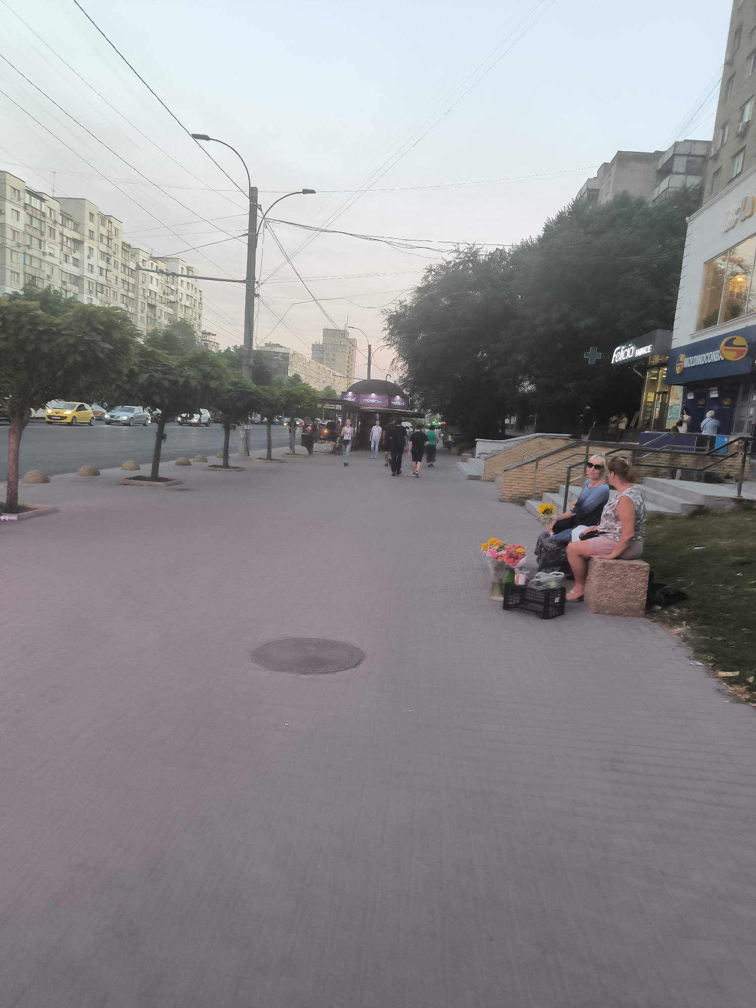 The image depicts a street scene in Chișinău, Moldova, likely in the evening as the sky is overcast and light is dim. The foreground is dominated by a wide pedestrian walkway paved with grey tiles. In the mid-ground, two women are sitting on a stone bench, with a display of colorful flowers in vases and a black crate nearby, suggesting they are flower vendors. To their right, a grassy area slopes upwards towards a building with stairs.
The street itself, visible beyond the walkway, has multiple lanes of traffic, with several cars and a yellow taxi present. Lined along the walkway are several trees with rounded canopies, providing some greenery. In the background, multi-story apartment buildings and commercial establishments can be seen, including one with illuminated signage for "Felicia Farmacie" and "MOLDINDCONBANK". Overhead, a network of power lines crisscrosses the sky. Several people are walking on the sidewalk further down the street, and some appear to be waiting at a bus stop. The overall impression is a typical urban street in Chișinău with commercial activity and residential buildings.