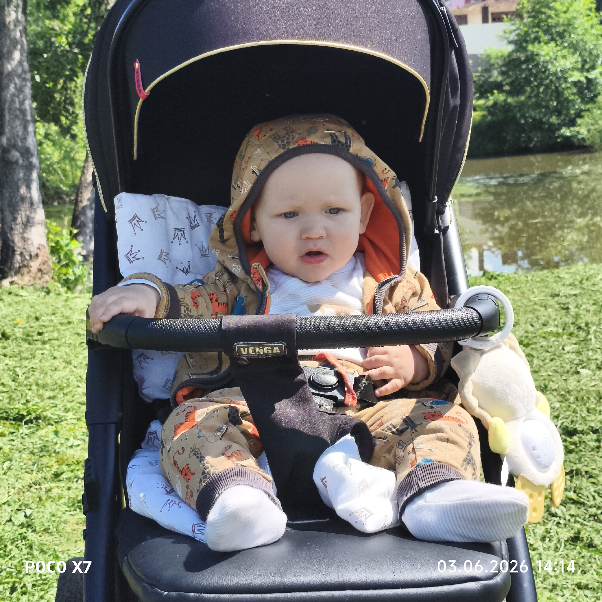 An outdoor, full-shot portrait captures a baby seated in a black stroller amidst a lush green setting in Chaikovsky, Russia. The baby, with fair skin and blue eyes, wears a light brown hooded jacket adorned with various animal and airplane patterns, a white undershirt, and white socks. A soft, white cushion patterned with crowns provides support behind the baby. The baby grips the stroller's front bar and looks directly forward with a calm, slightly open-mouthed expression. Attached to the right side of the bar is a light-colored plush toy, possibly a duck, featuring yellow feet and a white, round component.
The stroller itself is black with a gold trim around the hood, and a prominent black front bar. A small tag on the bar reads "VENGA." The background reveals a natural landscape with vibrant green grass, a large tree trunk on the left, and a body of water, likely a pond or river, visible on the right, bordered by distant trees and foliage. The bright daylight indicates clear, sunny weather, typical of a daytime outing.
Visible text in the image includes "POCO X7" in the bottom left corner, indicating the camera model, and a date and time stamp "03.06.2026 14:14" in the bottom right. The scene conveys a peaceful moment of a baby enjoying an outdoor stroll.