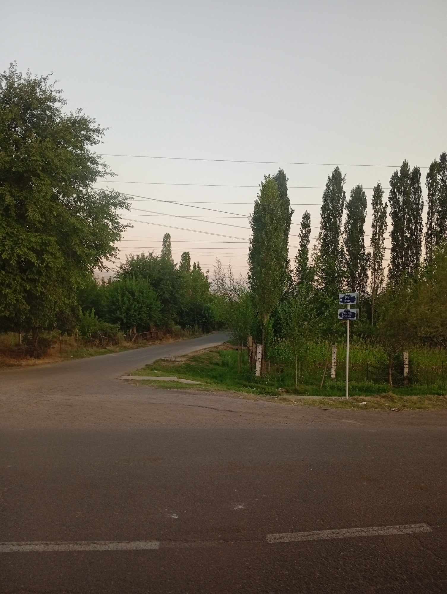 The image depicts a road intersection in a rural or suburban area, likely in or near Angren, Uzbekistan. The road surfaces are asphalt with a white dashed line marking the lane. To the left, a large leafy tree dominates the foreground, casting shadows on the road. Beyond the tree, a rough fence runs along the side of the road, leading to more trees and vegetation.
On the right side of the image, a signpost with two blue street signs stands amidst a line of tall, slender trees. The top sign reads "Dostlik," and the bottom sign reads "Tyuropatur." Beyond these trees, dense green foliage forms a background. The sky is a pale, hazy color, suggesting it is either early morning or late evening. Power lines are visible strung across the sky. The overall scene is tranquil and natural, with no people or vehicles present.