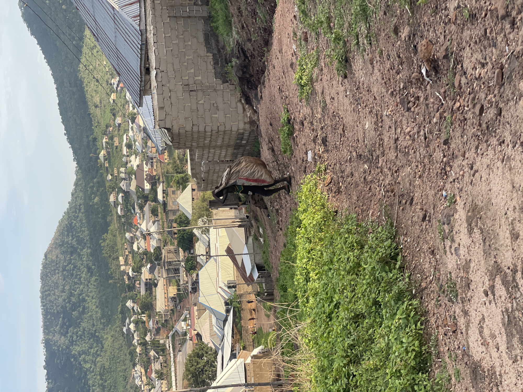 The image captures a steep, hilly landscape featuring a residential settlement. In the foreground, a rugged dirt path with sparse green vegetation and exposed rocks slopes downwards. On the left side of the path, a denser patch of green foliage grows.
A sole individual is visible in the midground, walking along the dirt path. They are carrying a very large, bulging light-colored sack, possibly made of woven material, on their back. The sack extends significantly above their head, suggesting it is heavy or cumbersome. The person wears dark clothing, with a hint of green and red near their lower back. Behind the individual, a structure built from unplastered concrete blocks stands, possibly an unfinished building or a retaining wall.
The background reveals a sprawling settlement of numerous houses spread across the valley and ascending the opposite hills. Most houses are single-story with corrugated metal roofs, indicating a common architectural style in developing regions. Utility lines crisscross above the dwellings. Beyond the settlement, large, densely forested hills rise sharply, dominating the horizon under a bright, slightly hazy sky.
The scene depicts daily life in a mountainous or hilly area, likely in a semi-urban or rural setting. The time of day appears to be daytime, with ample natural light. There is no discernible text visible in the image. The overall impression is one of a community integrated with the natural terrain, with inhabitants engaged in manual labor or daily chores, consistent with the specified location of Lokoja, Nigeria.
