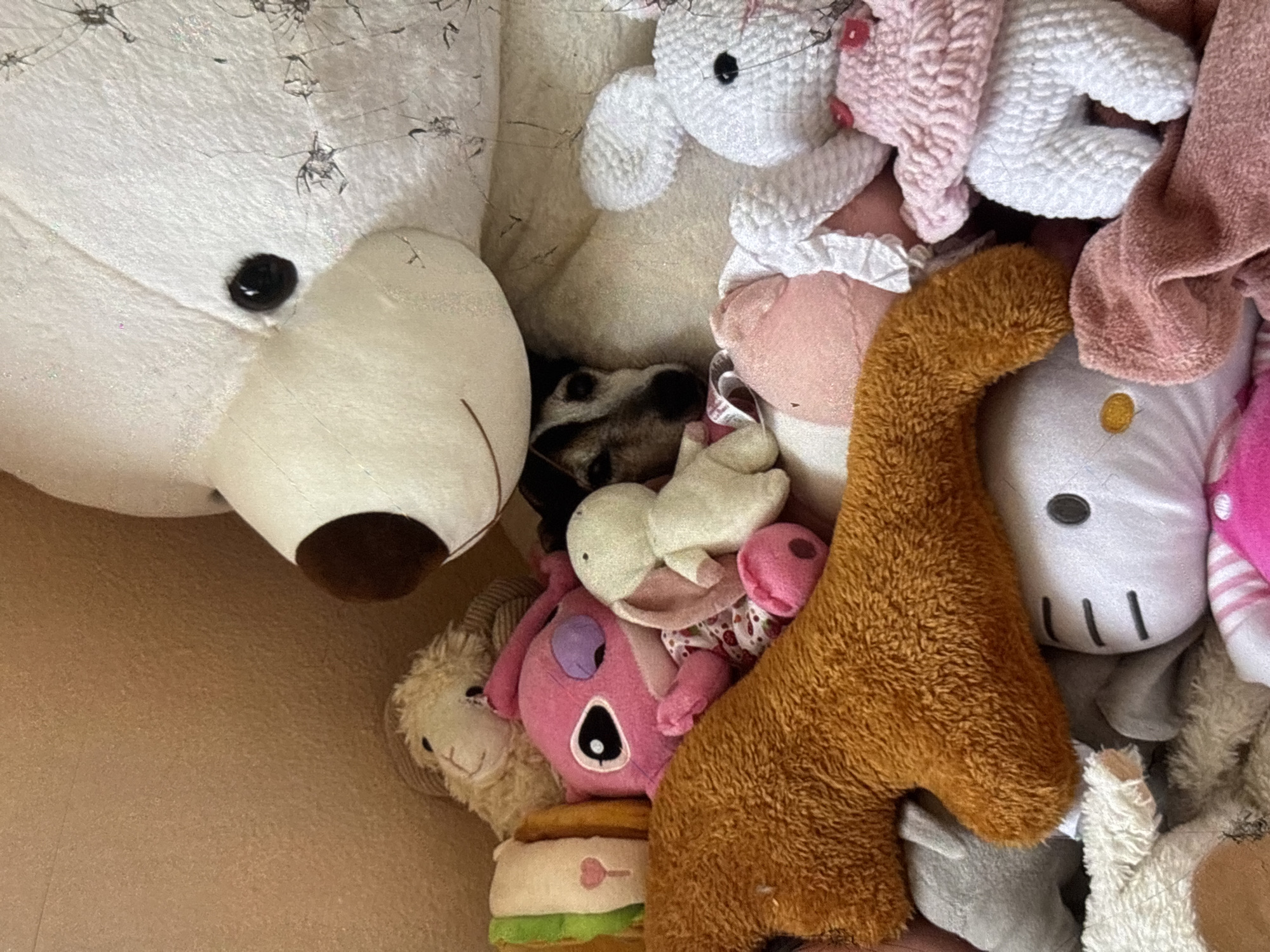 The image depicts a close-up, top-down view of a collection of stuffed animals and a dog. The stuffed animals include a large white teddy bear, a pink Stitch plush, a tan plush hot dog, a white crocheted rabbit, a small white plush figure, and other assorted plush toys in various colors and textures. A small dog with black and white markings is nestled among the stuffed animals, peeking out with its eyes visible. The stuffed animals and dog are arranged in a seemingly haphazard manner within what appears to be a box or container. The background is a plain, light brown textured surface, possibly a wall or the inside of a box. No specific location in Orihuela, Spain, can be determined from the image.