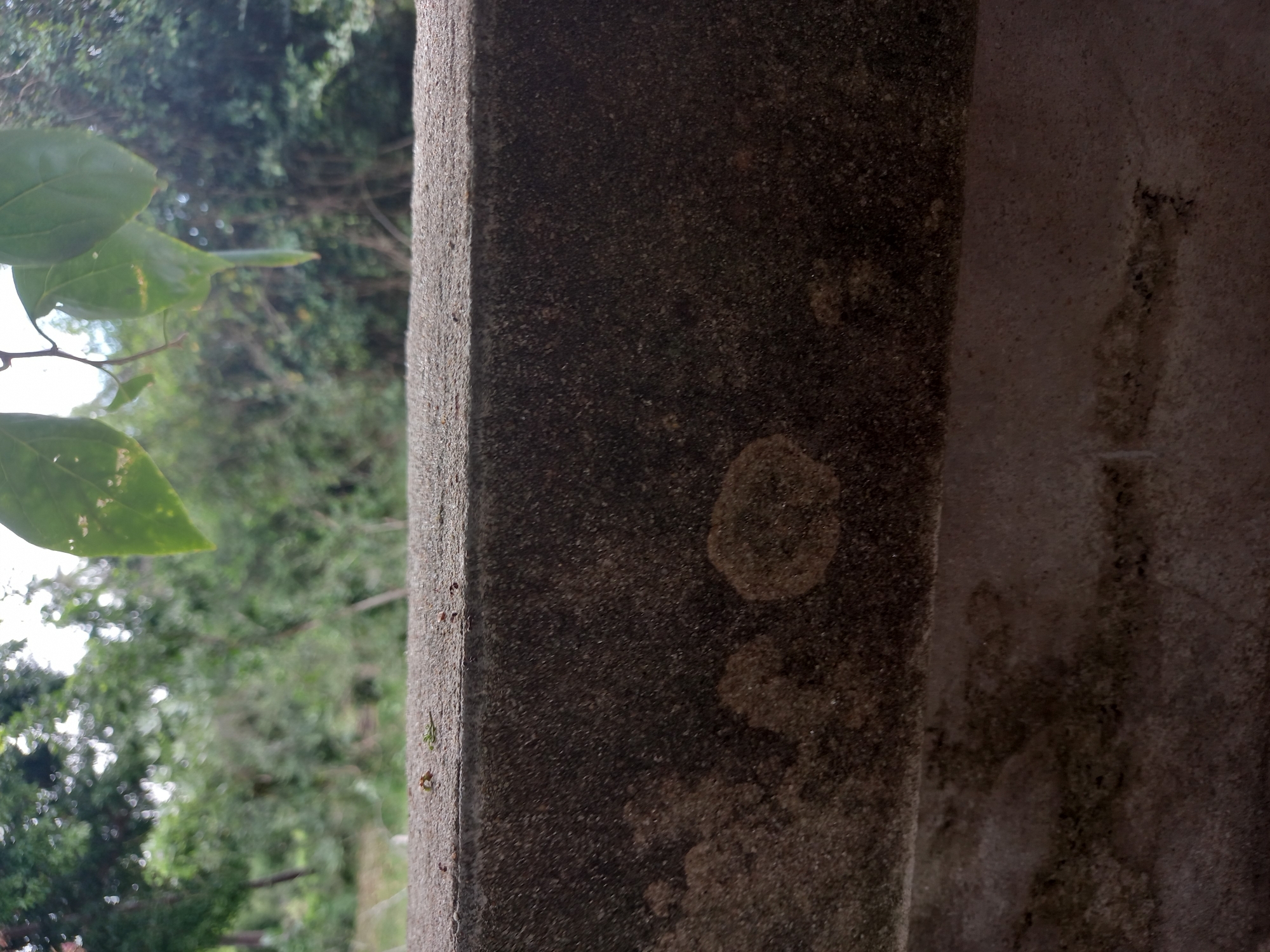 The image captures a close-up view of a textured, dark grey concrete surface, possibly a wall or ledge, in Baan Mae Nam, Thailand. The surface is weathered and shows signs of dampness or discoloration, with lighter, irregular patches suggesting water stains or moss growth. A thinner, lighter-colored concrete section runs horizontally below the main surface. In the background, a blurred natural scene is visible, dominated by lush green foliage and trees, indicative of an outdoor environment. A few green leaves hang into the frame from the top, suggesting the presence of vegetation above the concrete structure. The overall impression is one of an aged, outdoor structure set against a verdant backdrop.