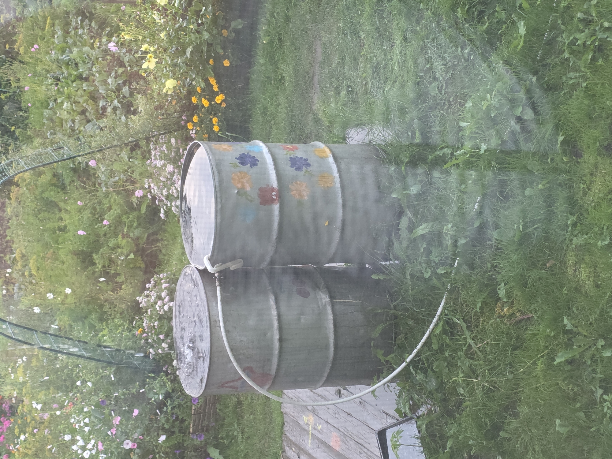 The image depicts an outdoor scene with two large metal barrels filled with water. One barrel has a colorful floral pattern painted on its side. A white hose connects the two barrels. The barrels are situated on a wooden platform in a grassy area, surrounded by various plants and flowers. In the background, there's a green arch structure and more vegetation. The lighting suggests it might be daytime, possibly overcast or with diffused light. There are no people visible in the image. The scene appears to be a backyard or garden setting, potentially in Magnitka, Russia, although this specific location is not visually verifiable from the image content. The overall impression is one of a functional garden setup.
