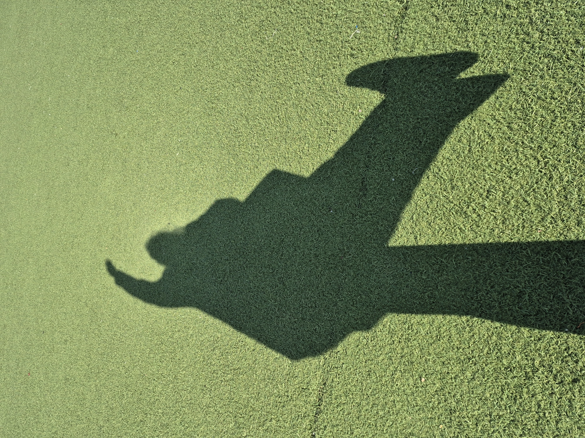 A large, dark shadow is cast across a vibrant green artificial turf surface, occupying the majority of the frame. The shadow's intricate shape suggests a person holding an elongated object. On the left side, the profile of a person's head and upper body is discernible, with what appears to be a raised hand making a gesture or holding a small item. Extending from this figure towards the right is a long, angular shadow, resembling a stick or a pole, possibly with a slightly wider, flatter end, akin to a field hockey stick or a broom. The sharp, well-defined edges and deep contrast of the shadow indicate bright, direct sunlight, suggesting an outdoor setting under clear weather conditions, likely on a sports field or recreational area. No text is visible in the image. The location is Chaikovsky, Russia.