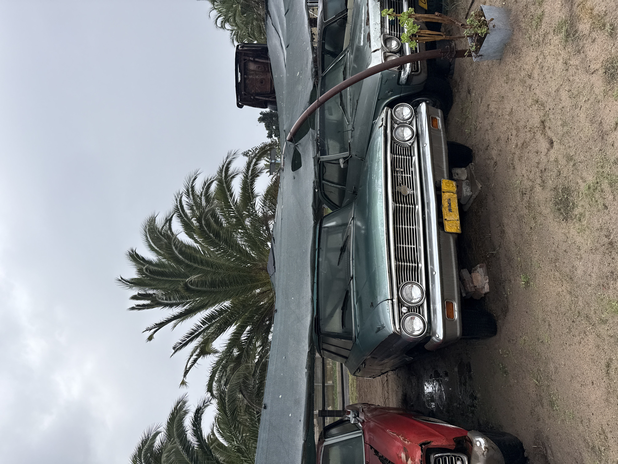 The image depicts two derelict cars parked outdoors against a backdrop of palm trees and a cloudy sky. The cars are green and red and both show visible signs of decay, rust, and damage. The surrounding ground appears to be a mixture of dirt and vegetation. The photograph was taken in Kraaifontein, South Africa.