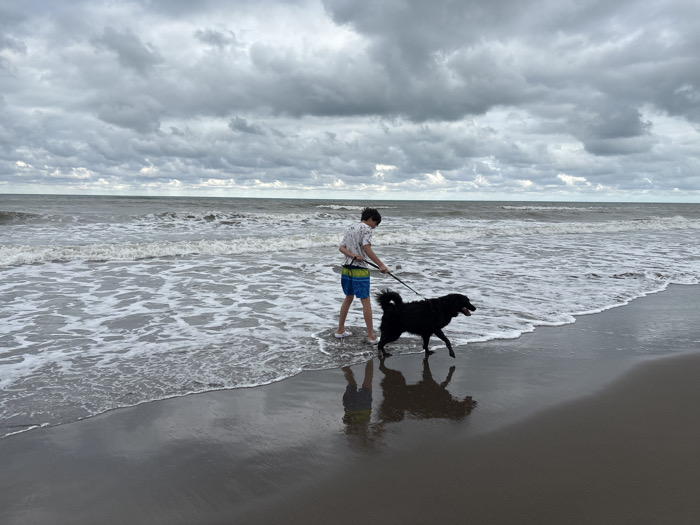 A boy walks a black dog on a beach. The boy wears a patterned short-sleeved shirt and shorts. The dog is on a leash. Waves crash on the shore under a cloudy sky. The wet sand reflects the boy and the dog.