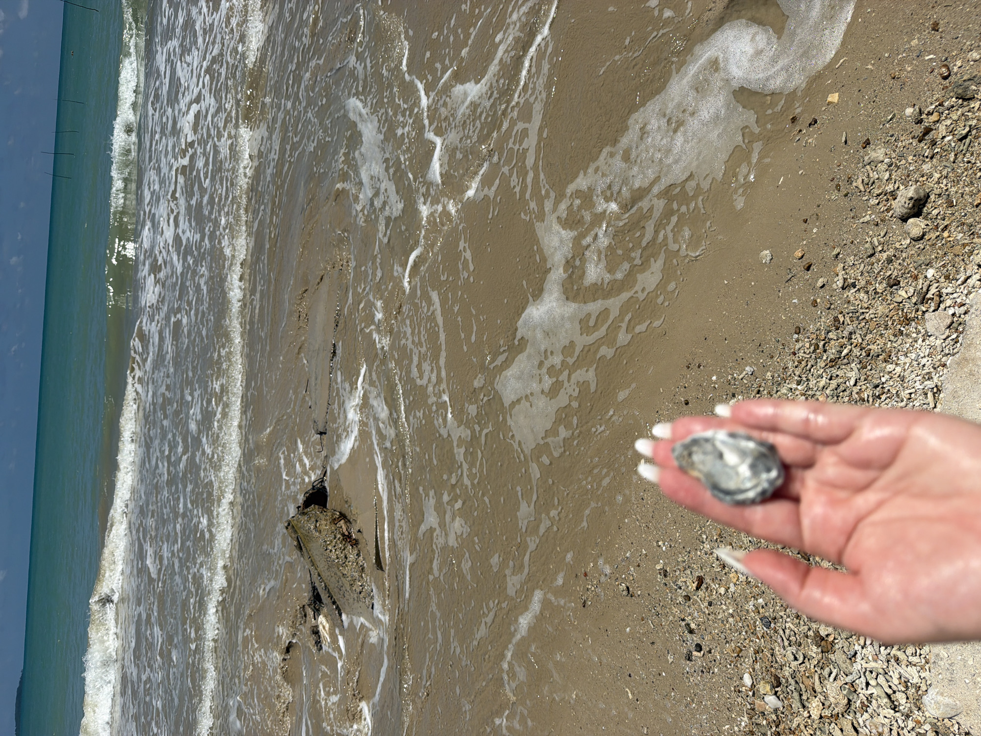 In the city of Bang Muang, Thailand, a hand with white-tipped fingernails holds a wet, grey oyster shell in the foreground. The beach is composed of sand and small pebbles, with debris from a concrete structure partially submerged in the shallow waves. The ocean water is a turquoise green, with white foam from the gentle waves lapping at the shore. In the background, a distant landmass is visible on the horizon. The sky is a clear blue.