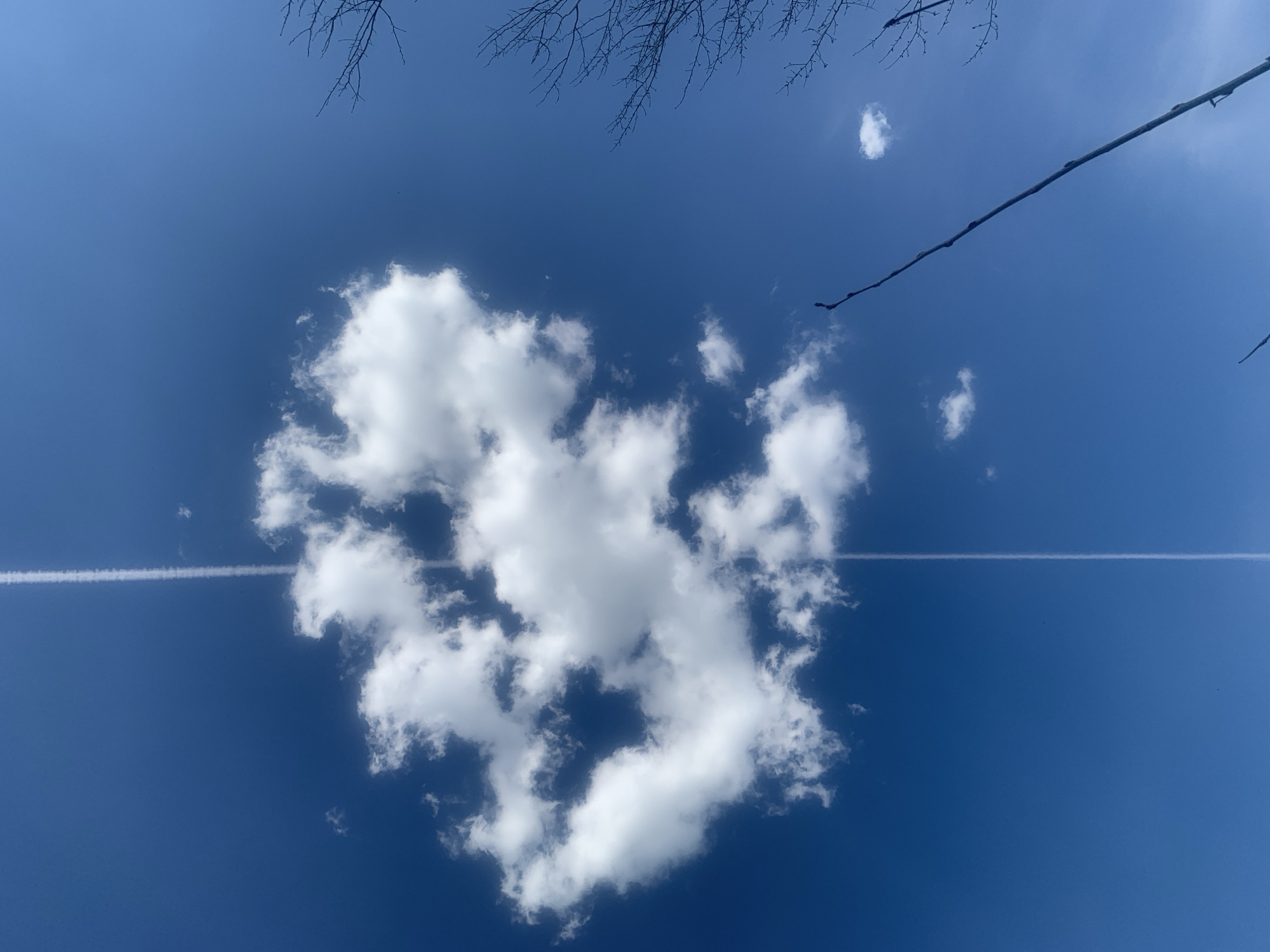The image shows a view of the sky, predominantly blue with a large, somewhat heart-shaped, white cloud formation in the center. A faint, linear contrail bisects the cloud horizontally. In the upper right corner, there is a dark tree branch, and a thin, dark line (possibly a wire) extends from the upper right towards the center. A small, isolated cloud is also visible in the upper right. The location of Zasechnyi, Russia is irrelevant to the content of the image.