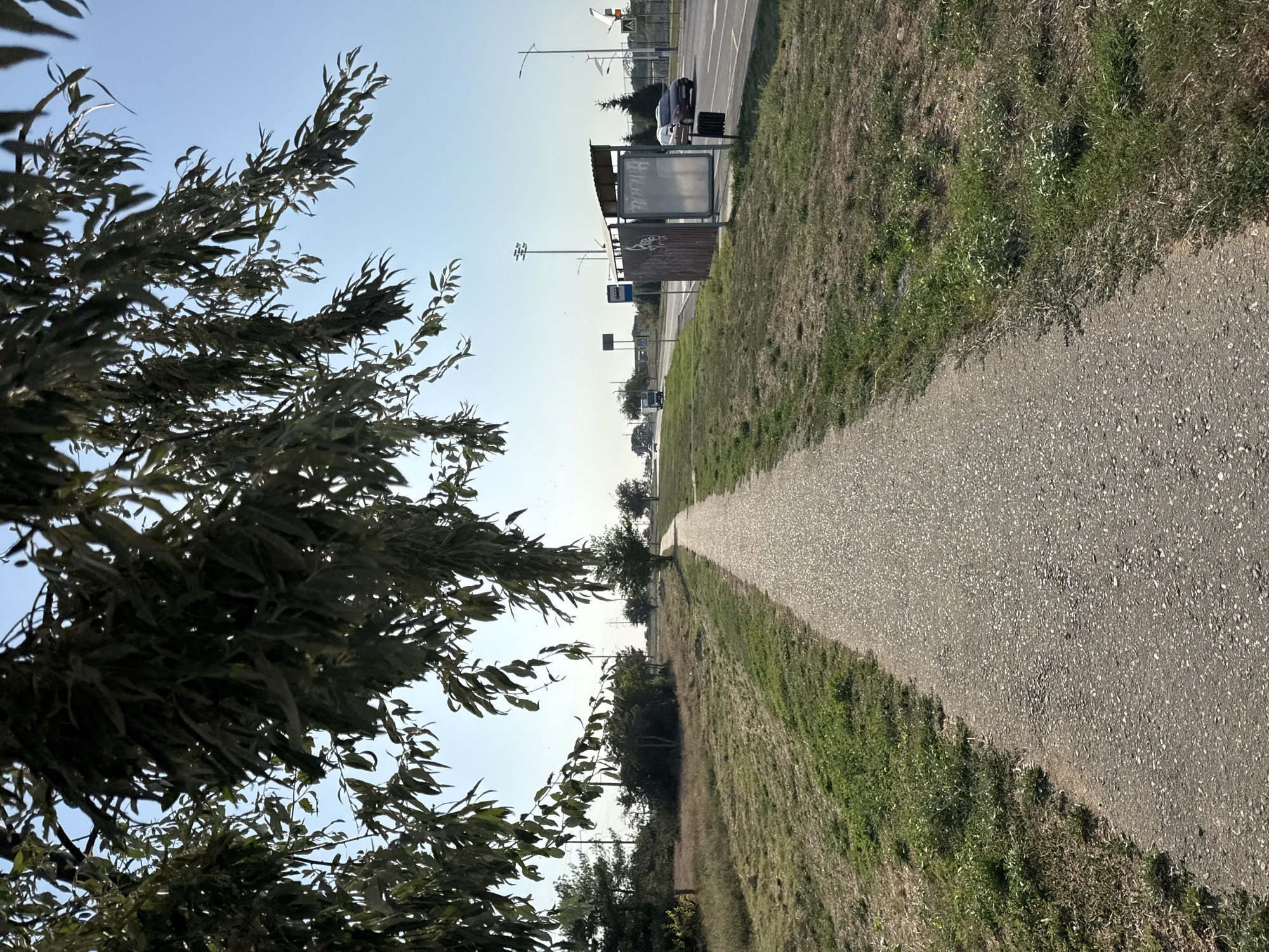 The image depicts a paved pedestrian walkway running alongside a grassy embankment, bordered by a road with light traffic. Overhead, a tree with thin, drooping leaves partially obscures the bright blue sky. To the right, a bus stop shelter with a corrugated roof and a metal advertising board stands beside the road. Cars and trucks are visible on the road, and power lines and streetlights dot the horizon. The environment appears to be a semi-urban or suburban setting, with vegetation and infrastructure elements present. The scene is consistent with a location in Yevpatoriya, Ukraine, given the characteristic landscape and infrastructure.