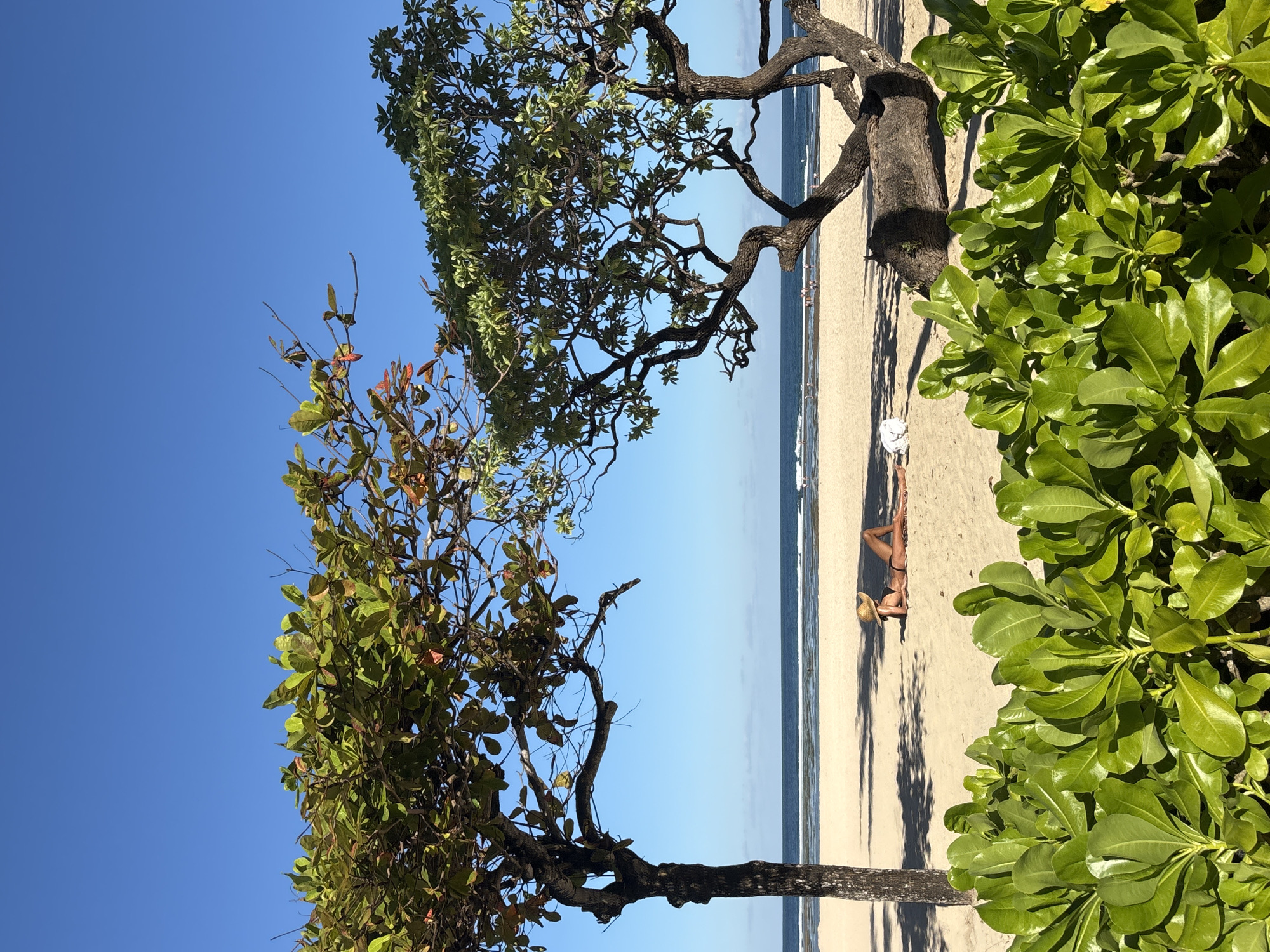 The image shows a beach scene in Kuta Selatan, Indonesia. The view is framed by two trees on either side. On the right, a dense cluster of green foliage. On the left, a tree with green and reddish-brown leaves against a clear blue sky. In the center, a sandy beach meets the ocean. A person wearing a hat and swimwear is lying on the sand. In the background, the ocean appears calm and light blue.