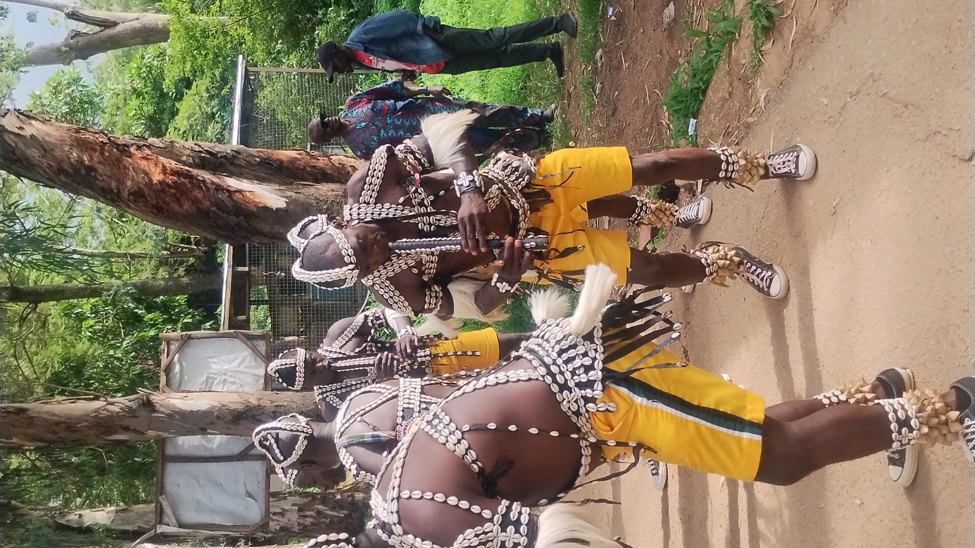 In the city of Jos, Nigeria, a group of men in traditional attire are performing a dance, their bodies adorned with shells and beads. The man in the foreground plays a flute, his face partially obscured by the instrument. He wears a headdress of shells and beads, and similar adornments circle his arms and legs. His shorts are yellow, accented with green and white stripes. Other performers, similarly dressed, are visible behind him, some also playing flutes. In the background, two other men stand observing the performance; one is dressed in a colorful patterned shirt, and the other wears a denim jacket over a red t-shirt. The scene is set outdoors, with trees and lush greenery forming the backdrop. A dirt path runs in front of the performers, and a wire fence is visible behind them, suggesting a somewhat enclosed or designated performance area. The lighting suggests it is daytime, likely overcast or in a shaded area due to the trees.