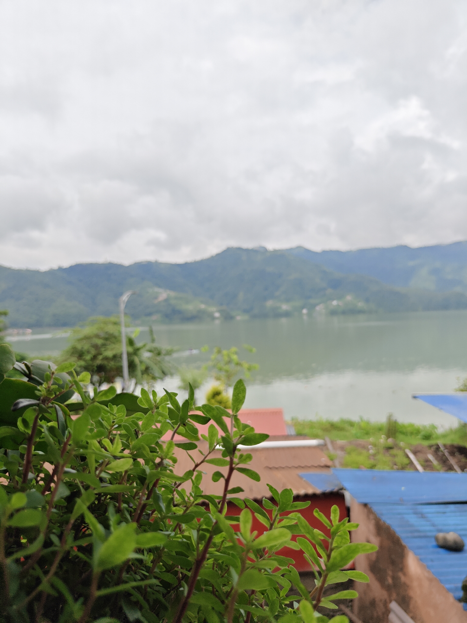 The image captures a serene view of Phewa Lake in Pokhara, Nepal. In the foreground, lush green foliage from a potted plant dominates, its leaves and stems rendered in sharp detail. Beyond the plant, the scene opens up to reveal a tranquil body of water, likely Phewa Lake, reflecting the overcast sky. Across the lake, verdant mountains rise, their slopes covered in trees and dotted with small settlements. The middle ground features several rooftops, some with a reddish-brown hue and others with a metallic blue finish, suggesting a residential or commercial area adjacent to the lake. A single lamp post stands tall on the left side of the lake, its light unlit under the cloudy conditions. The overall atmosphere is peaceful and slightly hazy, indicative of a cloudy day.