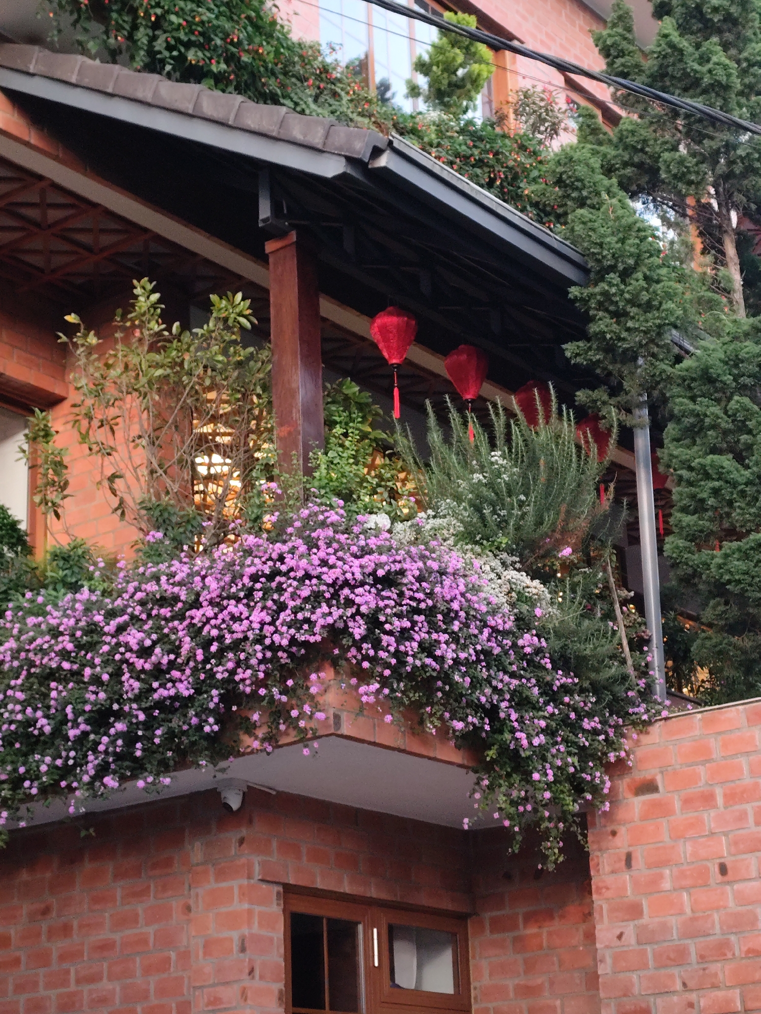 A three-story brick building in Da Lat, Vietnam, features a balcony overflowing with pink and white flowers, accompanied by various green plants. Red lanterns hang beneath the dark roof of the balcony. A window is partially visible on the bottom story, and evergreen trees flank the building. The sky is overcast.
