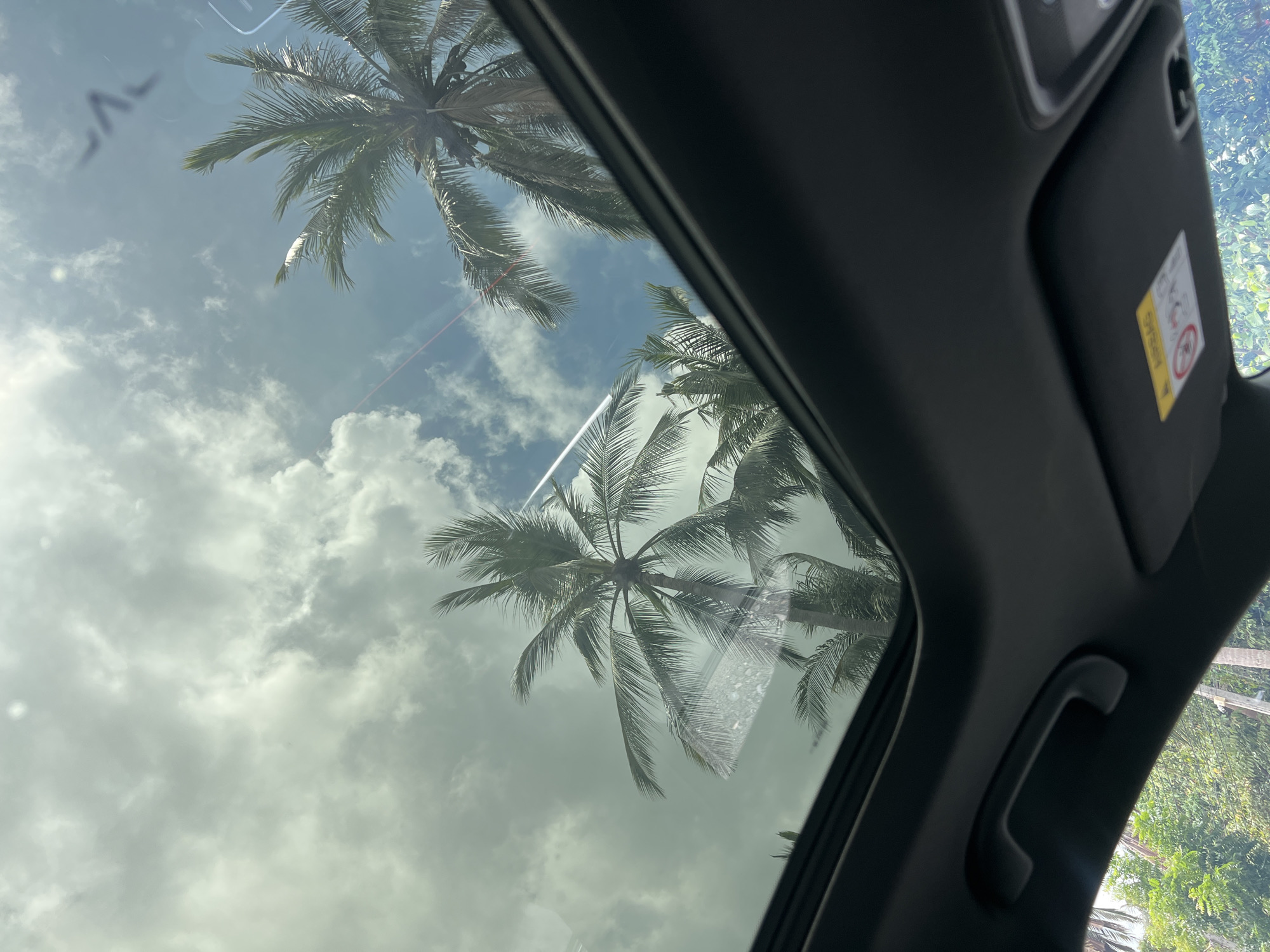 The image shows a view through the sunroof of a car, with palm trees and a cloudy sky visible. The interior of the car, including the headliner, sun visor, and grab handle, are visible around the sunroof frame. Outside the car, glimpses of trees suggest a tropical or subtropical environment. The location is unspecified.