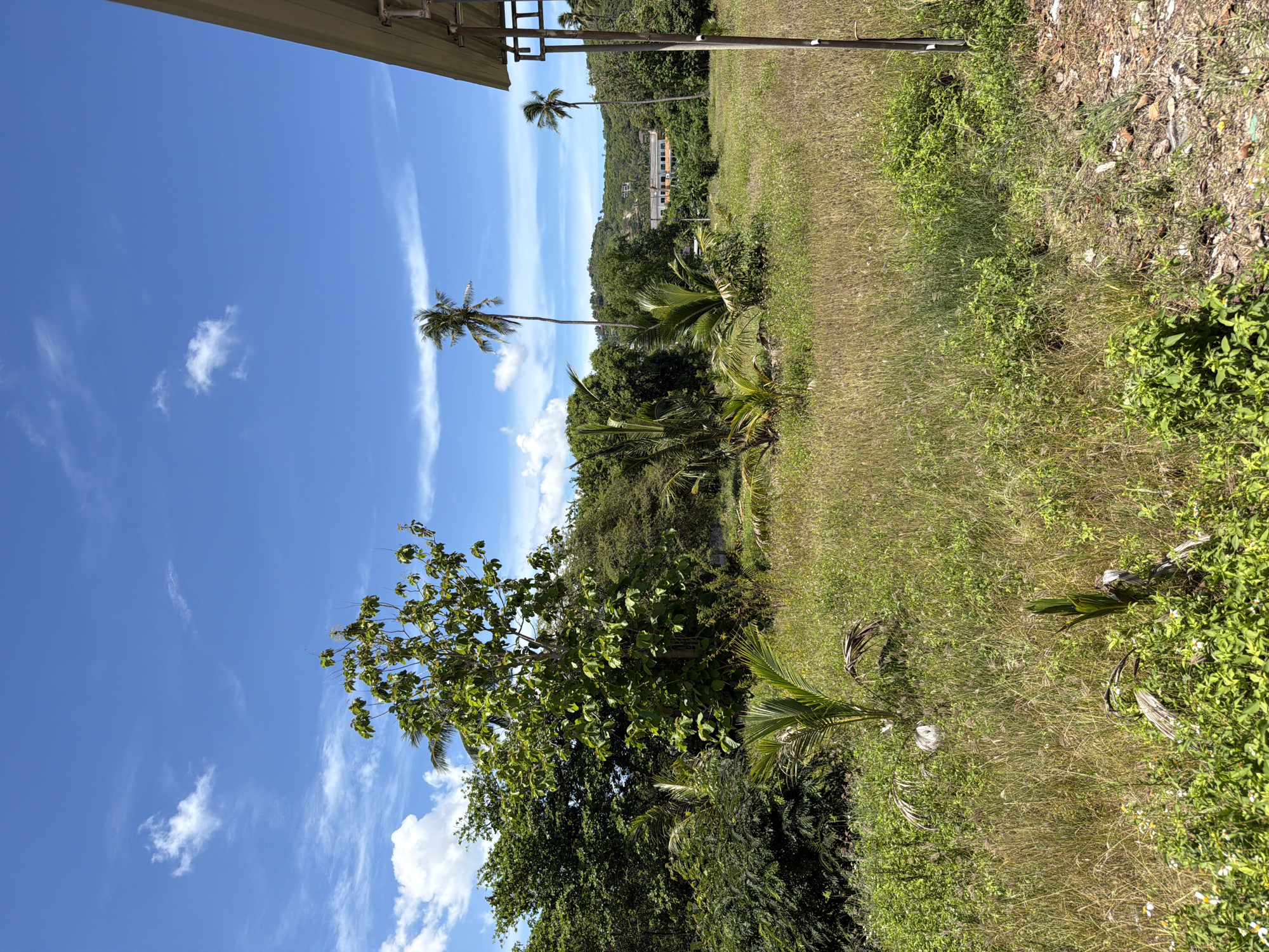 A wide shot captures an outdoor scene in Baan Bo Phut, Thailand. The foreground features a grassy field dotted with various plants and a few small palm saplings. In the midground, a dense cluster of trees and taller palm trees are visible, with a few buildings and more trees on a distant, verdant hill under a bright blue sky with scattered white clouds. The right side of the image is partially obstructed by the corner of a structure, possibly an awning or roof, supported by metal poles. The ground in the foreground appears somewhat dry and uneven with scattered debris.