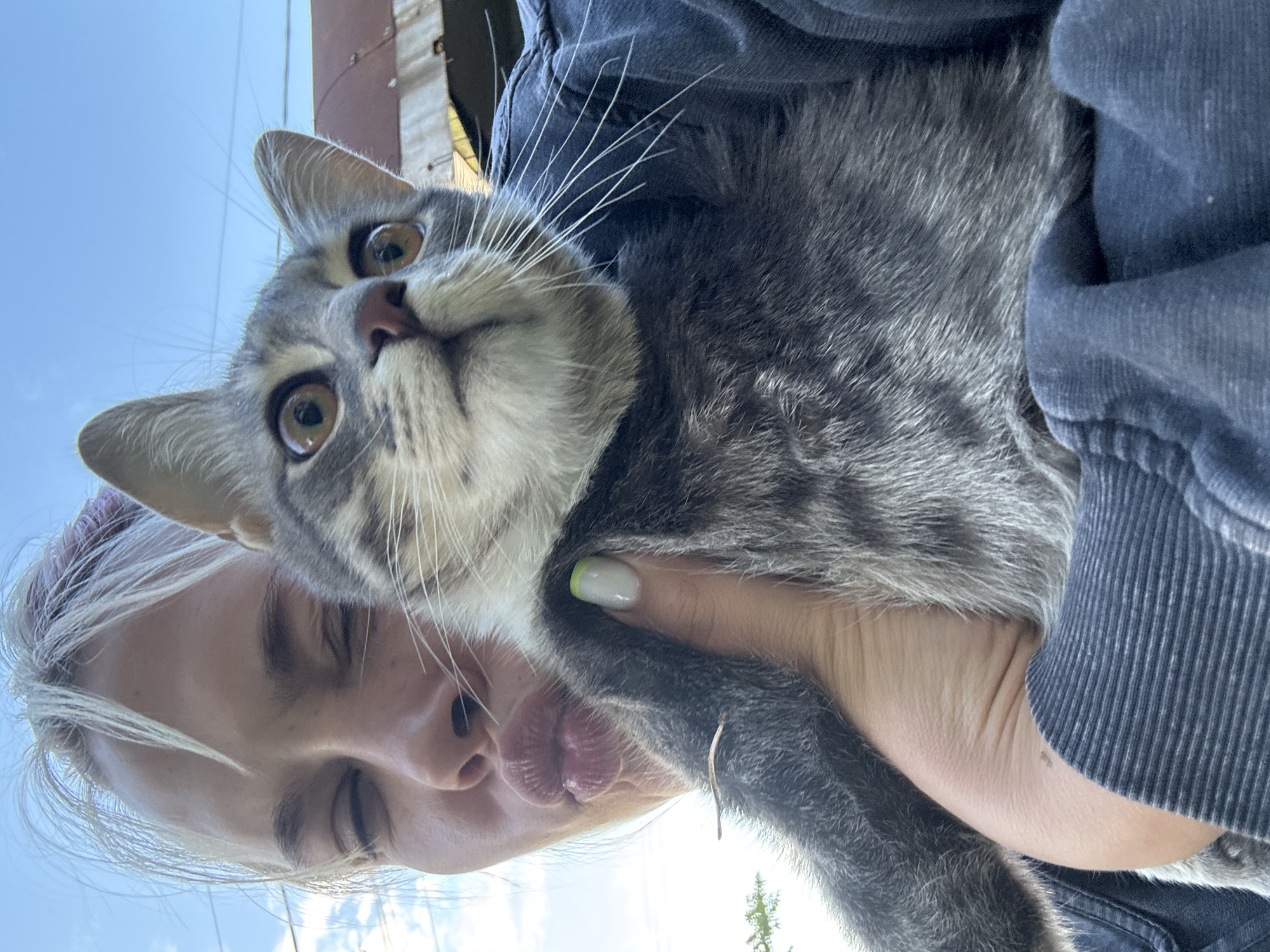 An outdoor, close-up, low-angle shot features a person holding a grey and white tabby cat. The person, whose head is cropped at the top, is making a kissing face with their eyes closed and lips pursed. They have blonde hair with some purple streaks and are wearing a dark blue hooded sweatshirt. The cat, held in the person's left arm and hand, is looking up and to the right with wide, light brown eyes and white whiskers. The cat's fur is grey with darker tabby markings. The background shows a bright blue sky with scattered white clouds, and some indistinct structures, possibly a building or corrugated metal, can be seen. The lighting suggests it is daytime. The location of this image is not specified as Naro-Fominsk, Russia.