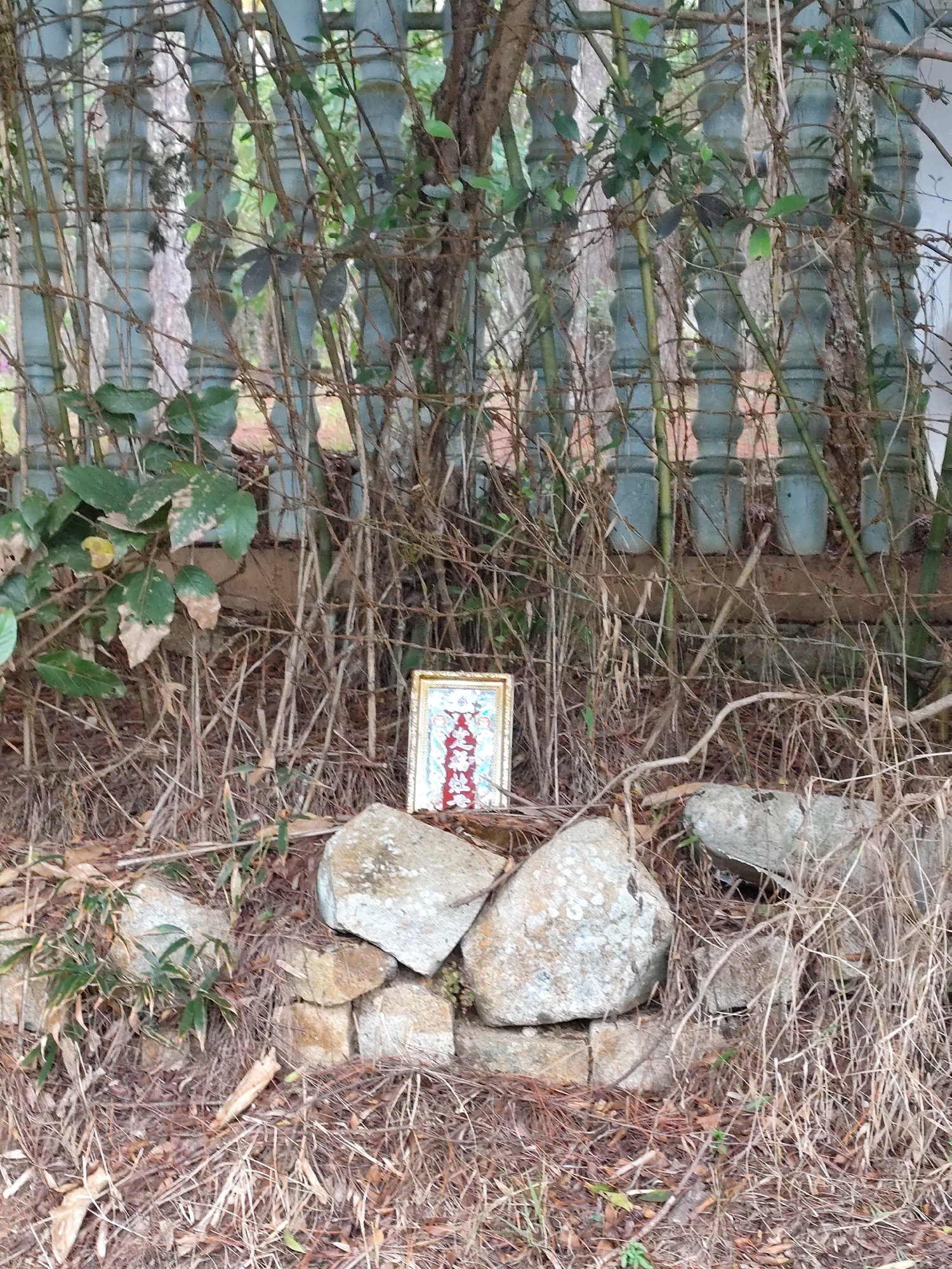 The image depicts a small, seemingly makeshift shrine in a state of disrepair, possibly located in Da Lat, Vietnam. A framed picture with red and blue Chinese characters stands propped against a small rock formation. The shrine appears to be neglected, surrounded by dry vegetation and debris. Behind the shrine is a concrete fence obscured by overgrown vines and foliage. The overall environment suggests a somewhat neglected or forgotten corner, with the shrine blending into the natural surroundings.