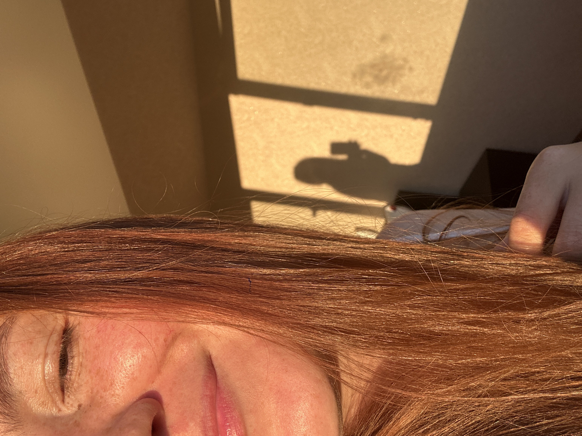 The image is a close-up portrait of a young woman with auburn hair. She is partially visible, with her right eye closed and her lips slightly parted in a gentle smile. Her skin is fair and has freckles, illuminated by warm, golden sunlight. Her hair is long and cascades down the side of her face.
To the right of the woman, a shadow of a person is cast on a wall. This shadow depicts a figure holding a smartphone, suggesting a selfie is being taken. The background appears to be an indoor setting with a wall and a shadow of a window frame, indicating the presence of natural light entering from a window. The lighting suggests it is either sunrise or sunset.
The location of this image is not specified in the provided image or its crops. Therefore, it is impossible to determine if it is in Nizhny Novgorod, Russia.
