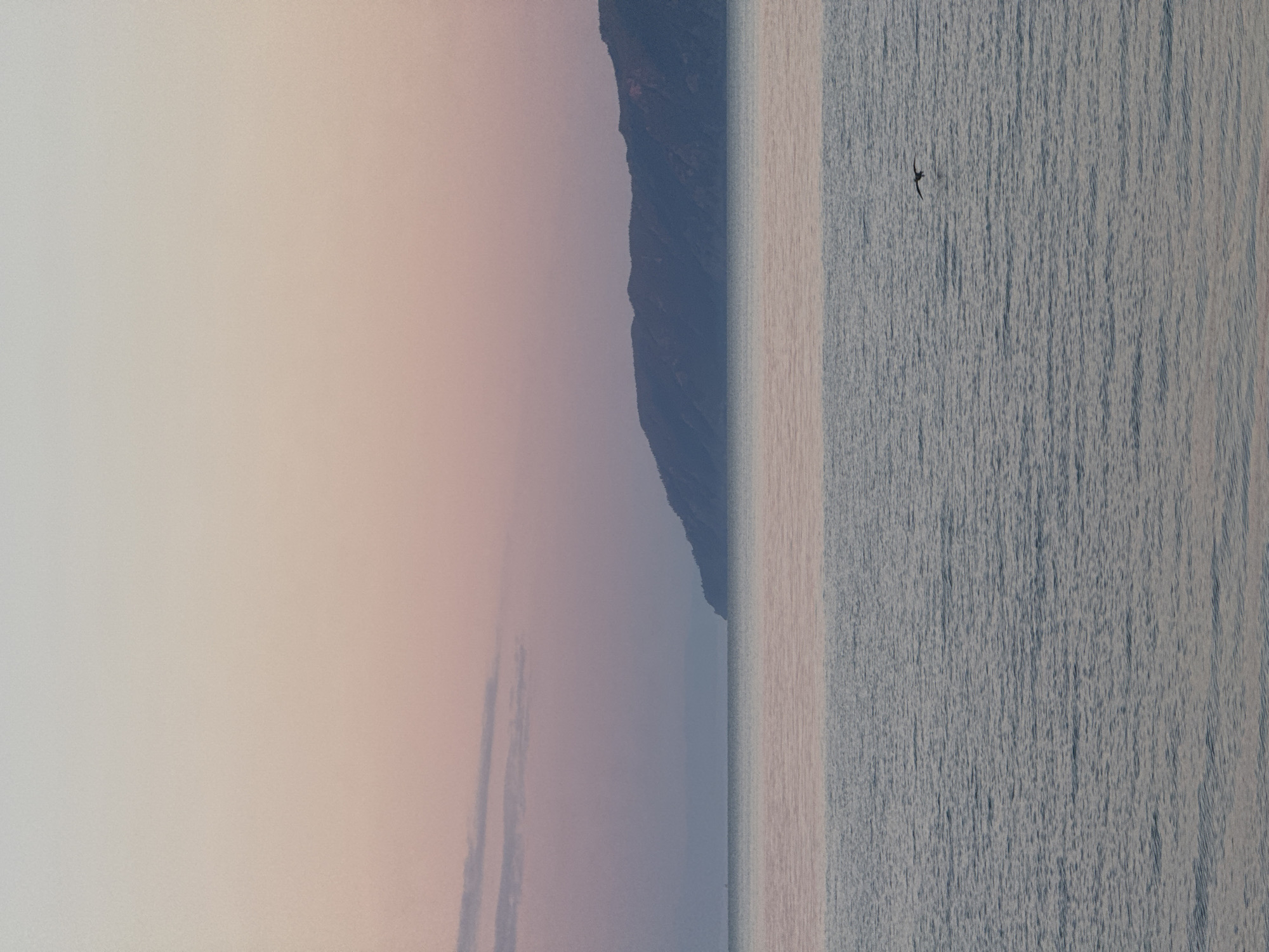 The image depicts a serene landscape at dusk. The sky transitions from a pale pink near the horizon to a lighter hue at the top, with faint wispy clouds present. In the distance, a dark, undulating mountain range forms the backdrop, with its silhouette clearly defined against the colorful sky. Below the mountains, a vast expanse of calm water stretches towards the foreground. The water reflects the soft colors of the sky, creating a muted, pastel effect. A single bird is captured in flight, a dark shape against the lighter water, adding a touch of movement to the tranquil scene. This scene is characteristic of Lake Baikal in Listvyanka, Russia, known for its stunning natural beauty and clear waters.