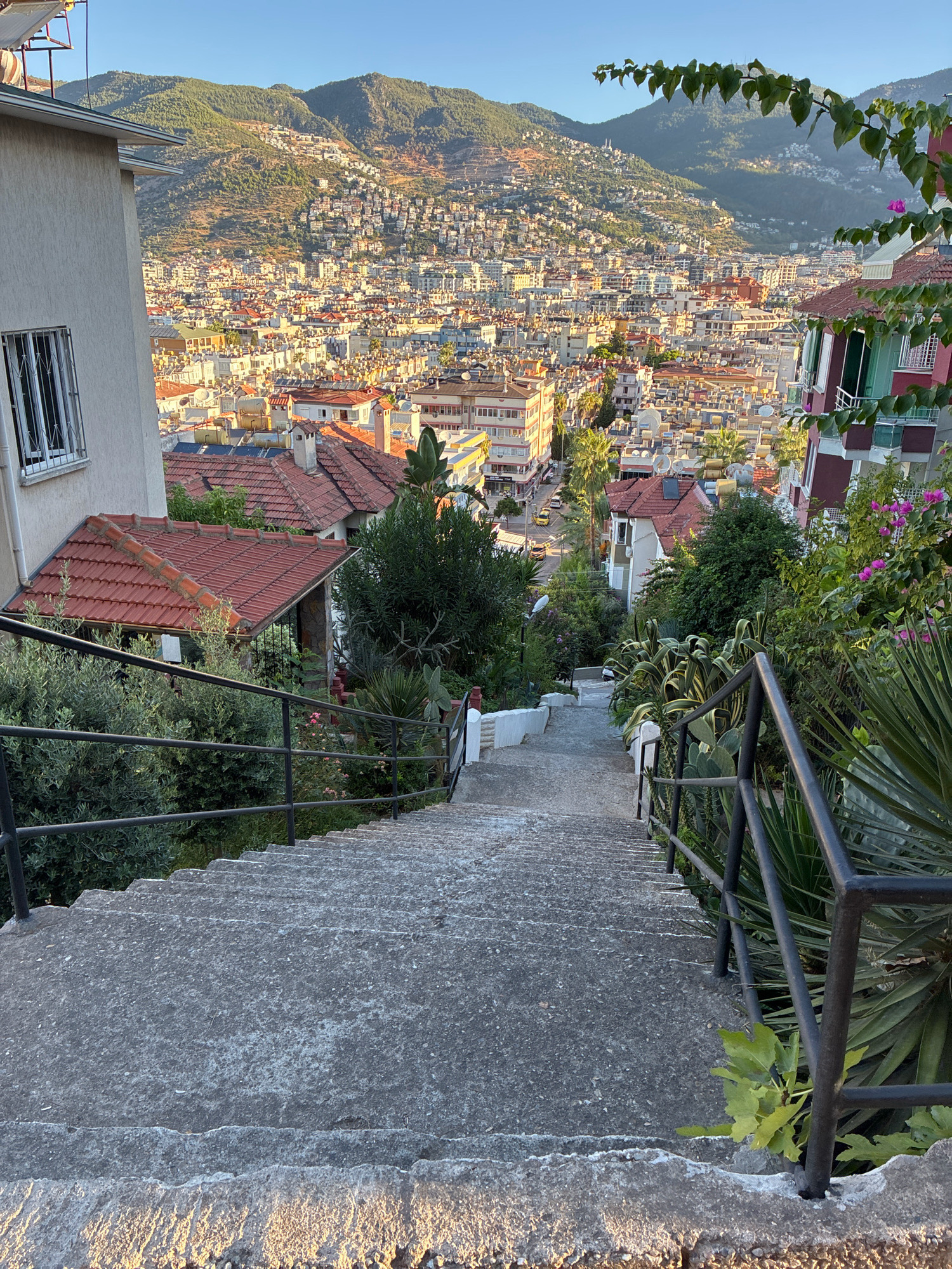 This is a high-angle, eye-level, full shot of a long, concrete outdoor staircase in Alanya, Turkey, leading down to a densely built city with a mountain range in the background. The staircase is flanked by black metal railings and various green plants, including succulents and leafy bushes. The sunlight casts warm highlights on the steps and illuminates the distant cityscape and the terraced hillside. Buildings with red-tiled roofs and white and colored facades dominate the middle ground, with the green, tree-covered mountain forming the backdrop. The sky is clear and blue. The scene appears to be captured during the golden hour.