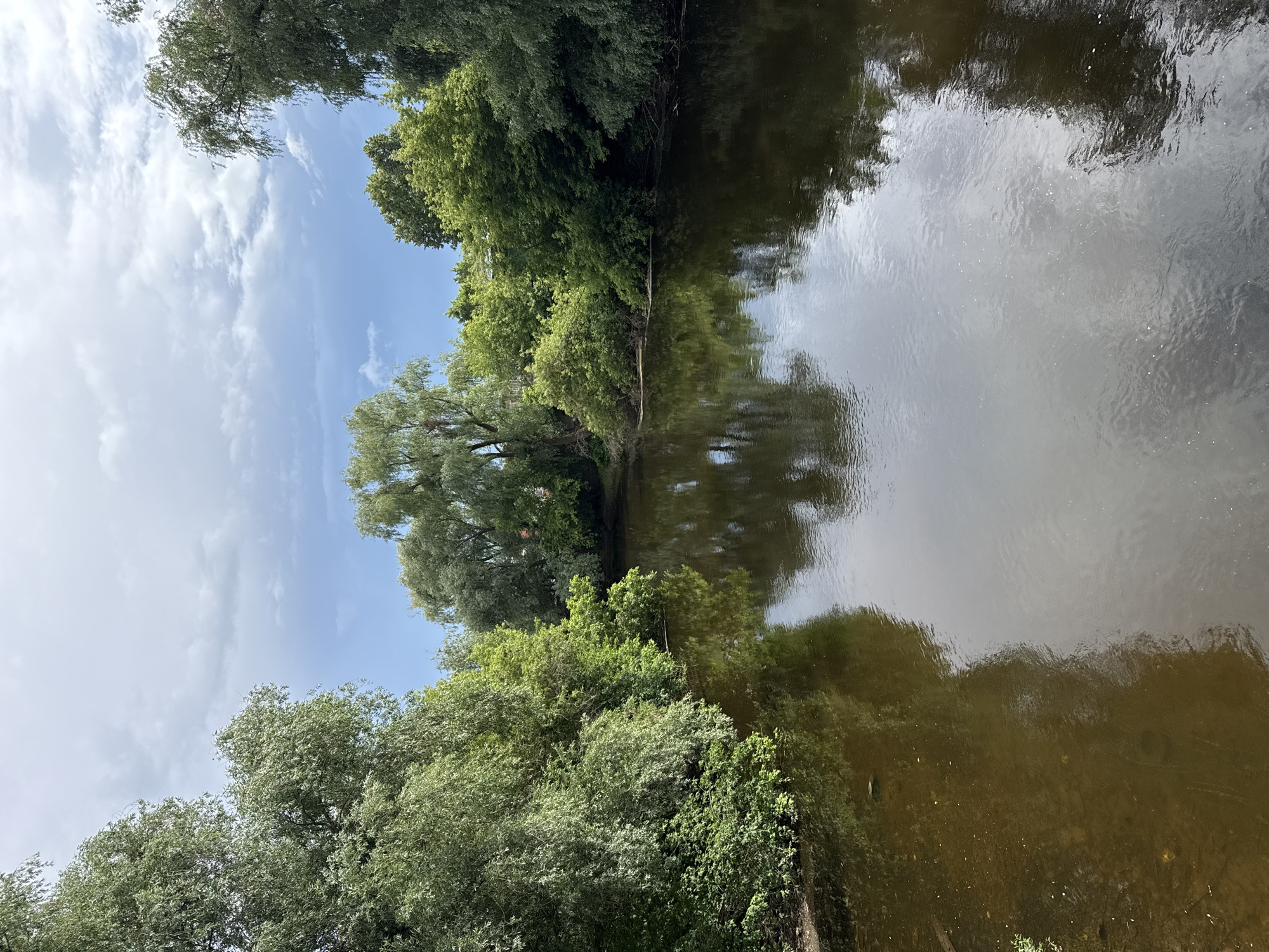 The image shows a calm river flowing through a densely wooded area. Lush green trees line both banks of the river, with their reflections visible on the water's surface. The sky above is partly cloudy, with patches of blue sky peeking through the white clouds. The overall scene is one of natural tranquility. It is not possible to determine the specific location in Izhevsk, Russia, or if there are any people or specific objects present in the image.