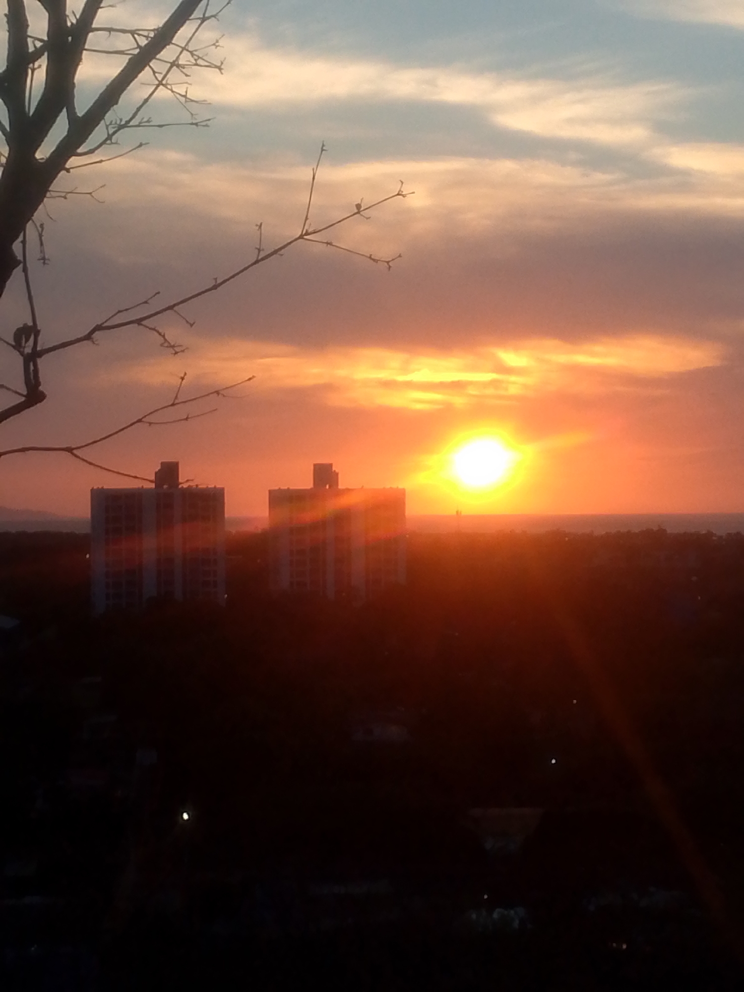 The image presents a vibrant sunset over Juan Griego, Venezuela, showcasing a striking contrast between the luminous sky and the silhouetted foreground. The time of day is clearly evening, with the sun low on the horizon, dominating the right side of the frame with an intense, bright orange and yellow glow, accompanied by a noticeable lens flare.
In the upper left, a bare, dark tree branch extends into the scene, its intricate silhouette stark against the sky. The sky itself is a spectacle of transitioning colors, starting with soft blue at the top, blending into delicate pinks and purples, and culminating in a fiery orange and yellow near the sun. Wispy clouds are interspersed across the sky, catching the warm light.
In the mid-ground, two multi-story buildings, appearing light-colored and somewhat rectangular, stand prominent. While largely in silhouette, parts of their facades reflect the fading light, distinguishing them from the darker elements. The landscape beneath these buildings and stretching towards the distant horizon is largely obscured in deep shadow, revealing only dark, indistinct shapes of vegetation and structures. The horizon line suggests a body of water, consistent with the coastal setting of Juan Griego.
No people or visible text are present in the image. The scene captures the serene and dramatic beauty of a tropical sunset.