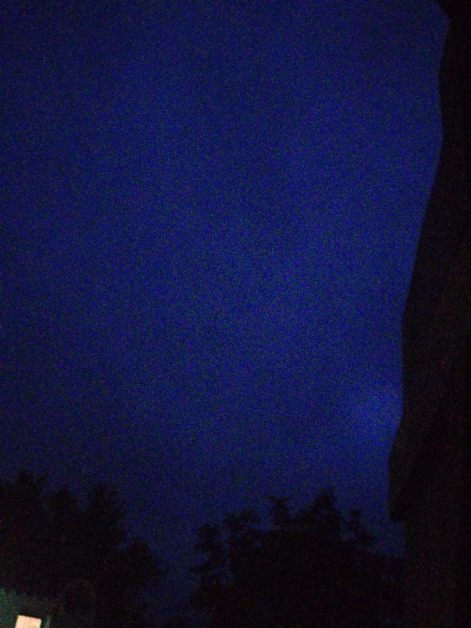 The image shows a dark, grainy, nighttime scene dominated by a deep blue sky. Silhouetted trees form a dark band across the bottom of the frame. A dark, irregular shape, possibly a building or a large natural feature, is visible on the right edge of the image. The overall impression is of a quiet, perhaps rural, setting under a starry or faintly illuminated sky. There are no people or visible actions. The image is too low-resolution and dark to determine specific details about the location within Ustyvytsia, Ukraine.