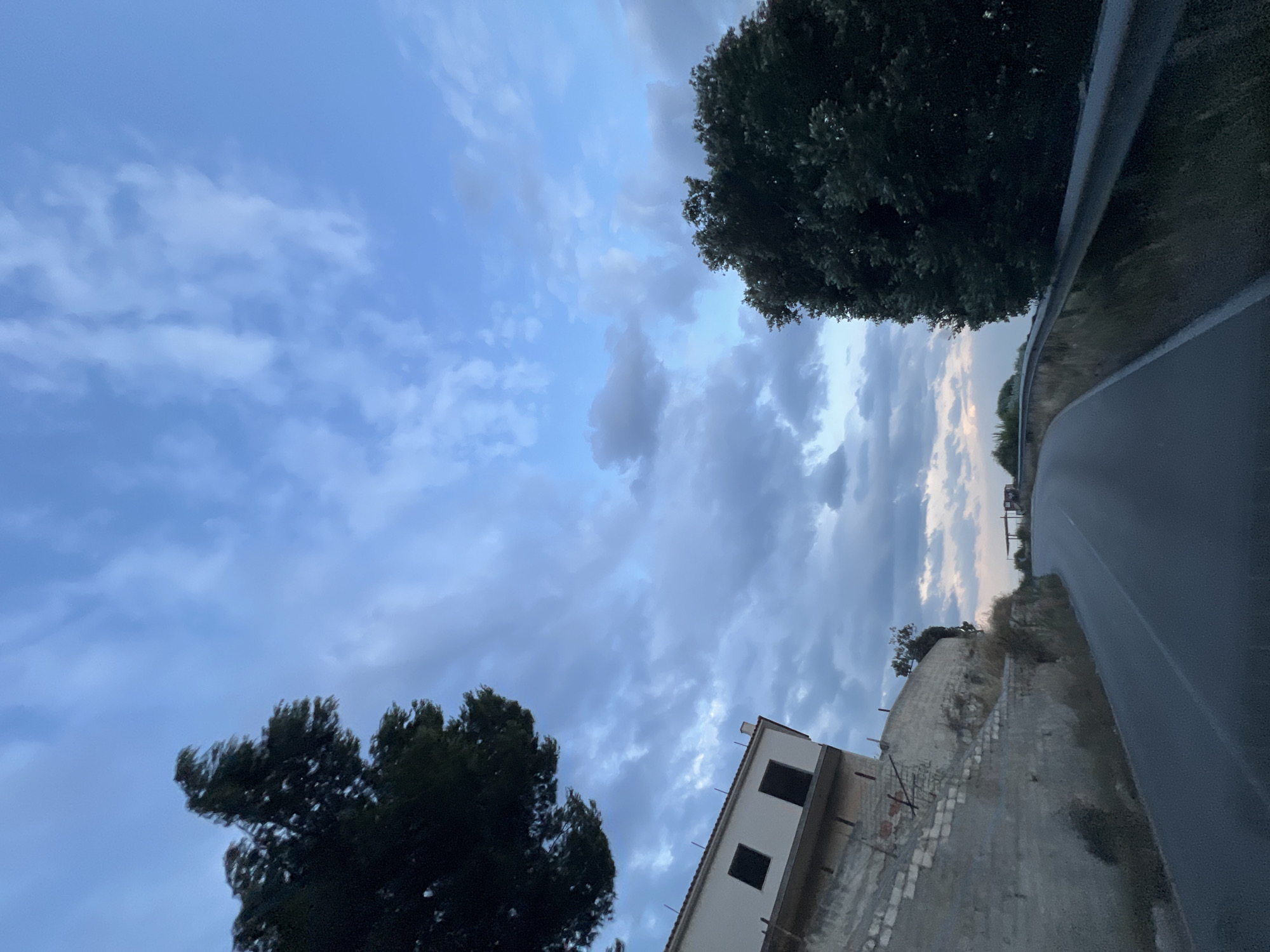 The image depicts a winding road in the city of Mattinata, Italy, with a building on the left and trees on both sides. The sky is filled with a mix of blue and grey clouds, suggesting it might be late afternoon or early evening. The road appears to be paved and has a white line marking the center. On the left side of the road, a white building with dark rectangular windows is situated on a sloped, stone-supported embankment. A tall, dark green tree dominates the right side of the frame, with its branches obscuring the sky. In the distance, along the road, there seems to be a small structure or shelter. The overall impression is of a scenic, somewhat isolated road leading through a landscape with architectural elements and natural vegetation. There are no people visible in the image.