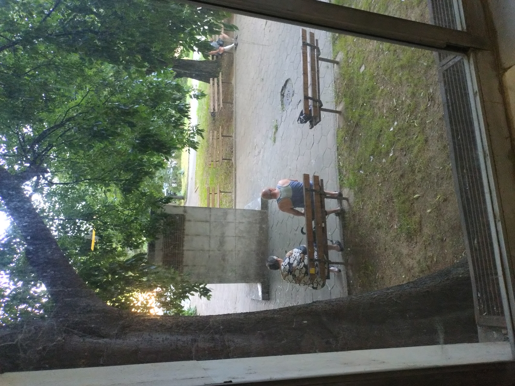 In Stara Zagora, Bulgaria, two individuals are seated on a park bench under a large tree, viewed through a window. The person on the left, seen from behind, wears a patterned shirt and dark pants, and is holding a cane. The person on the right, also seen from behind, is wearing a dark tank top and shorts. They are seated on a wooden bench in a paved area with grass and other benches visible in the background. A large, rough-textured concrete structure is situated behind the bench. The scene appears to be an outdoor public space, possibly a park or square, with dappled sunlight filtering through the tree's foliage.