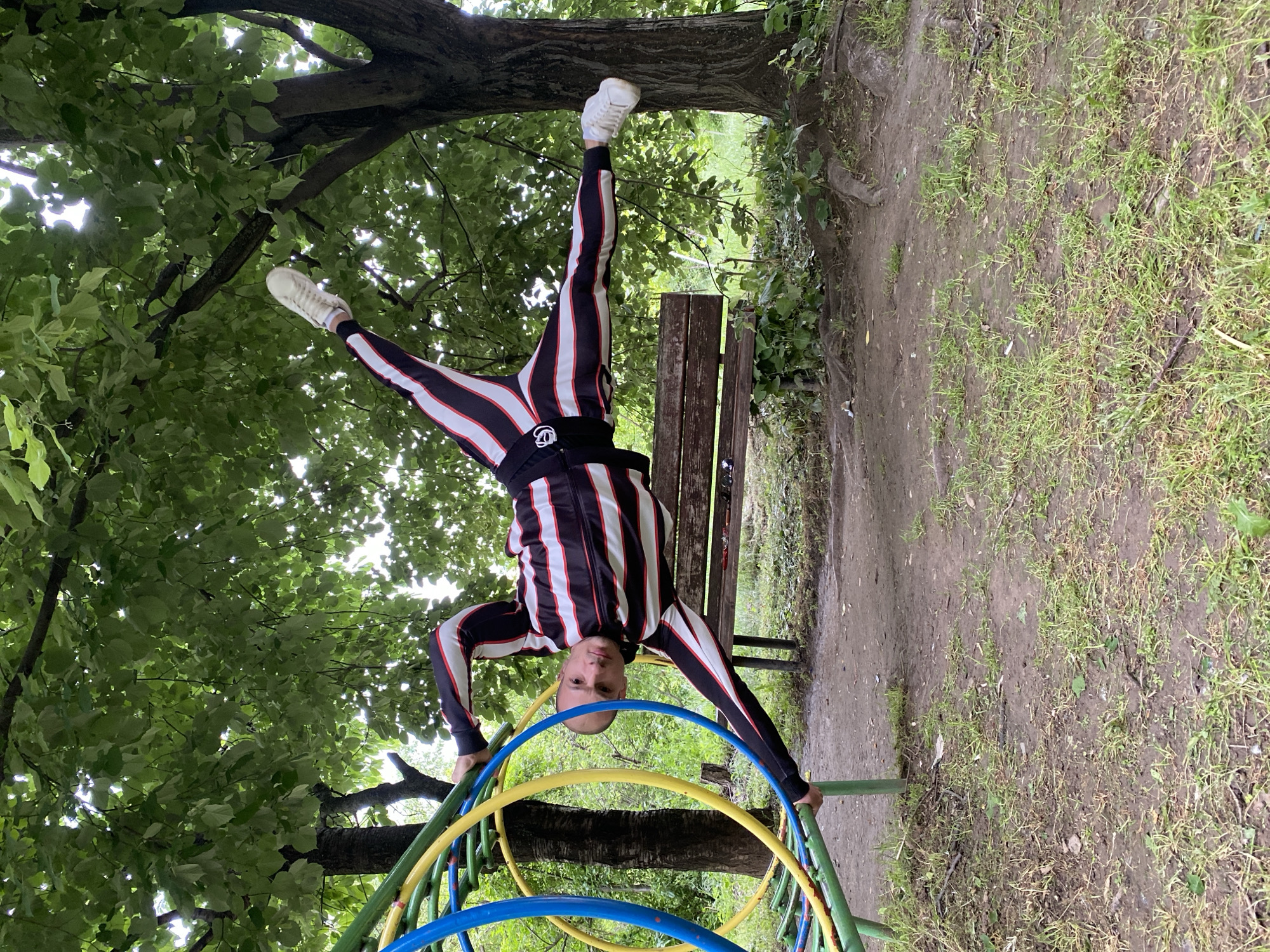 A man in striped athletic wear is performing a handstand on a playground structure with colorful hoops (green, yellow, and blue) in what appears to be a park setting. He is upside down, grasping the structure for support, with his legs split and his feet pointing upward. The background includes a leafy tree, a wooden bench, and a grassy area mixed with dirt. The location appears to be in a city and is Pleven, Bulgaria.