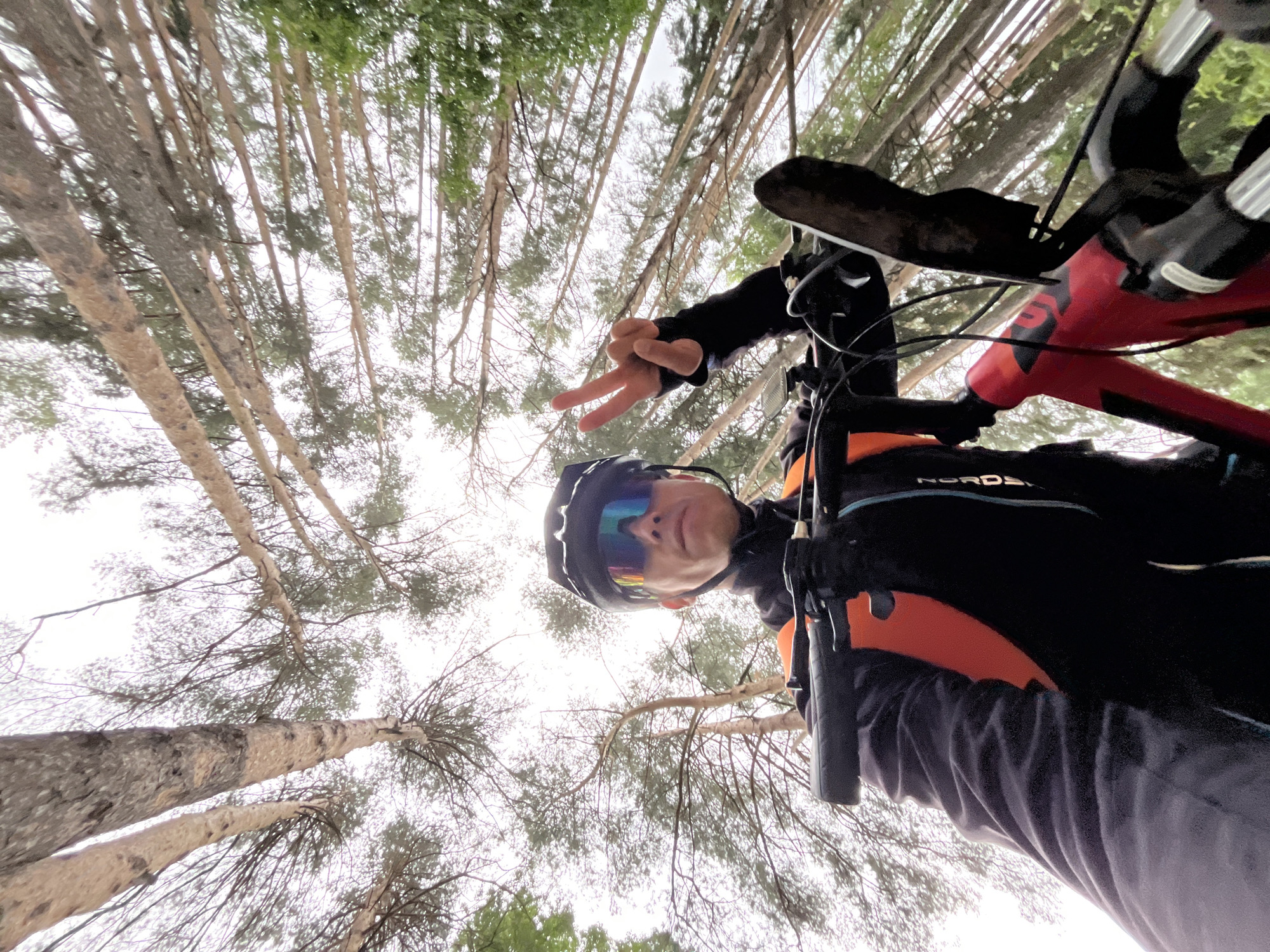A low-angle, wide shot captures a male cyclist in a forest, looking up at the camera and holding up two fingers in a peace sign. The cyclist wears a black helmet, iridescent cycling glasses, a black jacket with an orange vest underneath, and gloves. He is on a red bicycle, with the handlebars and front section of the frame visible. The background consists of tall, slender trees with a pale, overcast sky visible through their branches. The location is identified as Chaikovsky, Russia.
