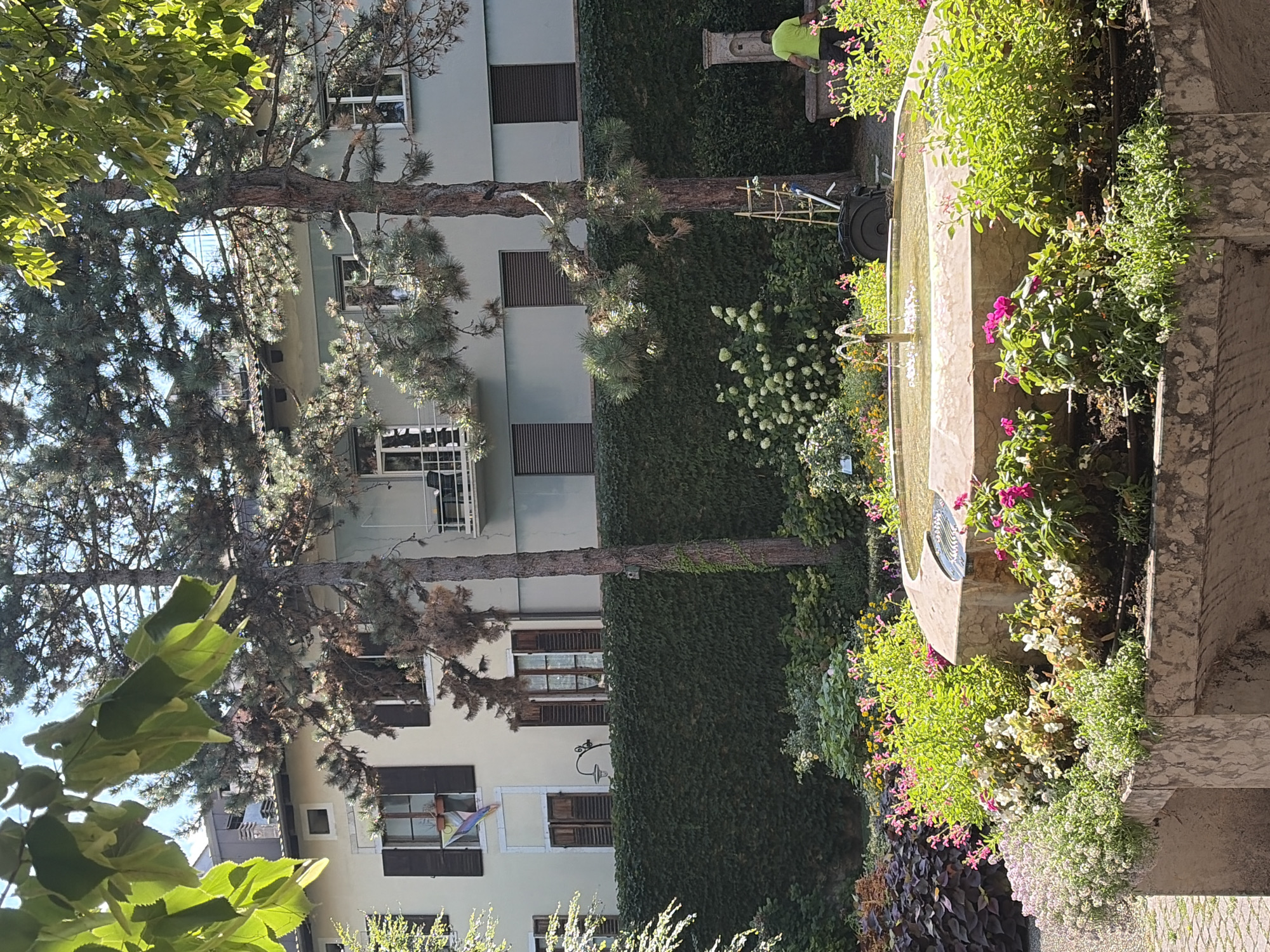 The image depicts a sunny courtyard in Trento, Italy, featuring a stone fountain as its centerpiece. The fountain, filled with water, has two jets spraying upwards, surrounded by lush greenery and vibrant pink and white flowers. Behind the fountain, a dense green ivy-covered wall forms a backdrop. Trees with evergreen needles and lighter green leaves frame the scene. In the distance, a light-colored building with multiple windows and dark shutters is visible. A man in a bright green shirt is partially visible on the right side of the image, near a stone structure with a carved detail, seemingly engaged in gardening or maintenance. The overall impression is one of a well-maintained urban garden or courtyard, bathed in sunlight.