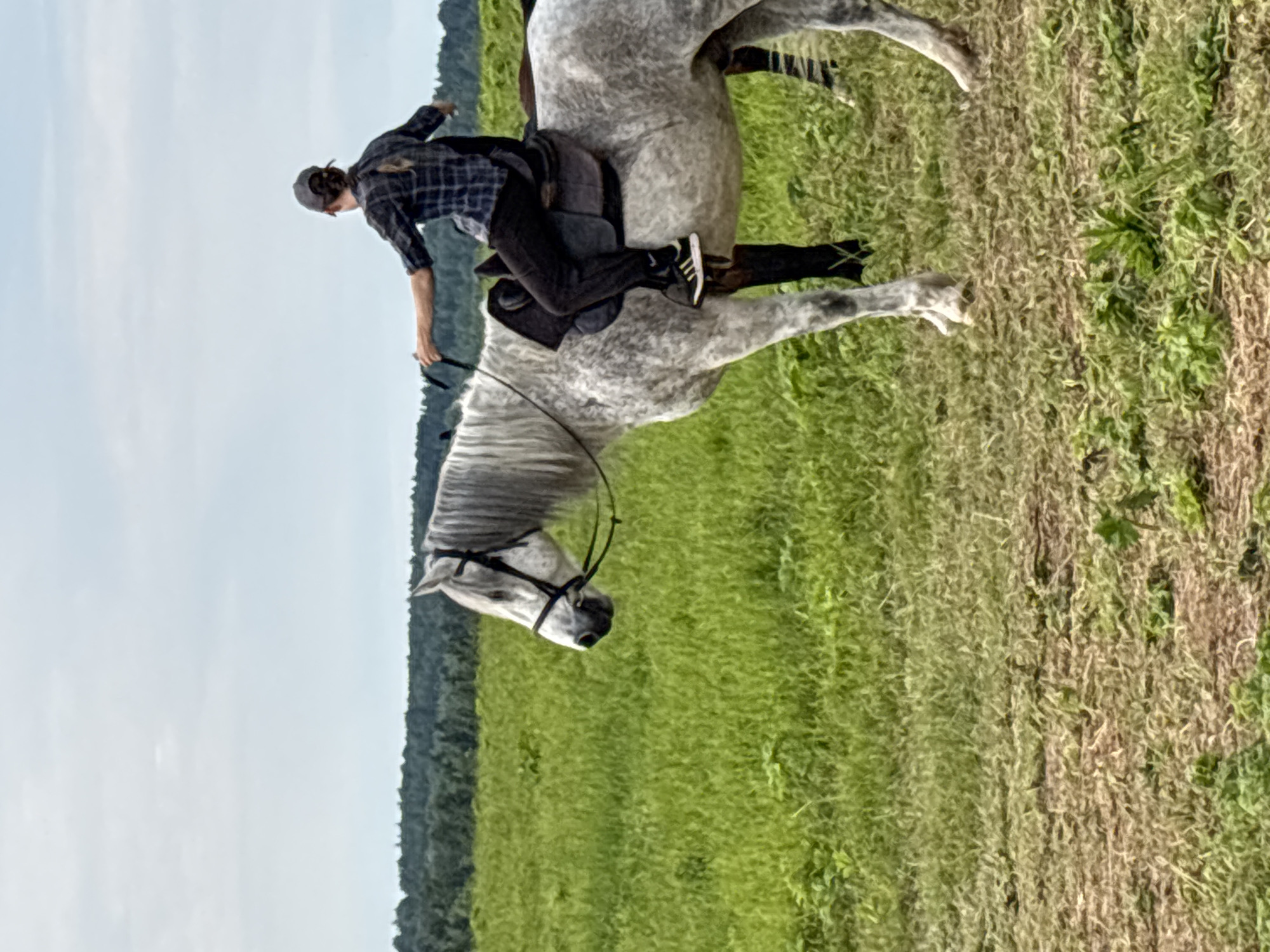 A person wearing a blue and black plaid shirt, dark pants, and a gray baseball cap is riding a dappled gray horse in a grassy field. The horse is facing left, and the rider is looking to the right, holding the reins. The field is lush green with some brown patches of dirt. In the background, there is a line of dark green trees under a cloudy sky. This scene is located in Goncharovo, Russia.