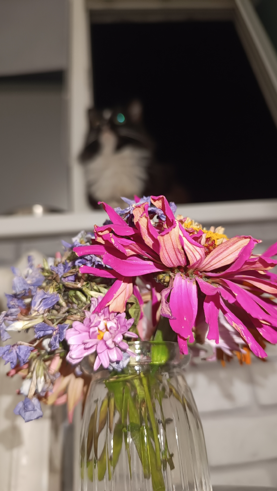 A close-up, low-angle shot shows a clear glass vase filled with a bouquet of wilting flowers, predominantly pink and purple, with hints of yellow and orange. The flowers are positioned in the foreground, with their stems visible through the ribbed glass of the vase. In the background, out of focus, a black and white cat with glowing green eyes is visible, partially obscured by a ledge or window sill. The background is dark, suggesting nighttime or an indoor setting with minimal light. The location of Chaikovsky, Russia, is not determinable from the visual evidence in the image.
