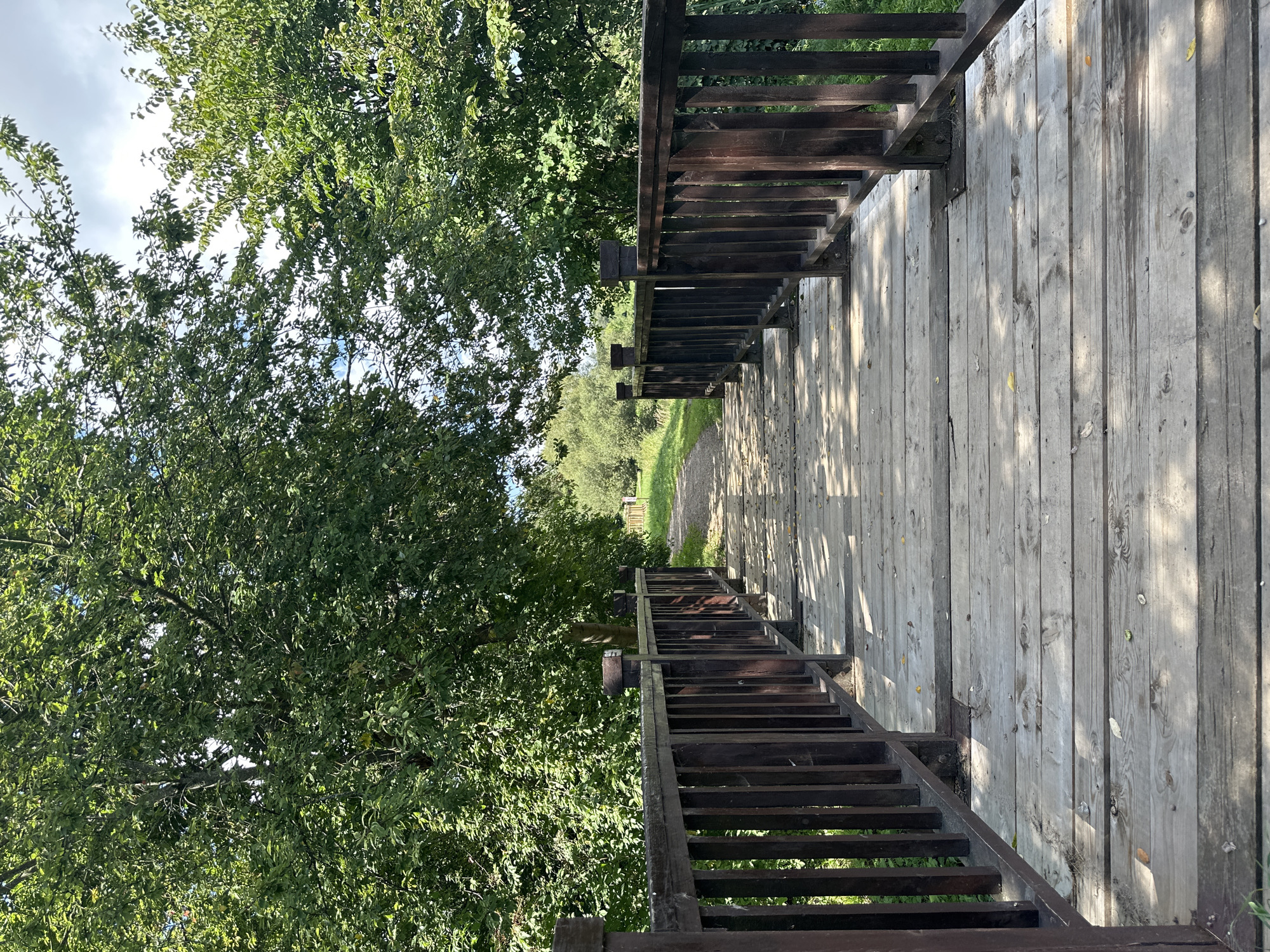This image shows a wooden bridge with dark brown railings, leading to a path in a park. The bridge is made of weathered wooden planks, and there are scattered leaves on its surface. The railings are composed of vertical slats and a horizontal top rail. The bridge is surrounded by lush green trees, some of which are partially obscuring the view of the sky, which is partly cloudy. The path ahead appears to be gravel or dirt, winding through the greenery. The scene is bathed in dappled sunlight, suggesting it is daytime. This location is identified as being in the city of Minsk, Belarus.