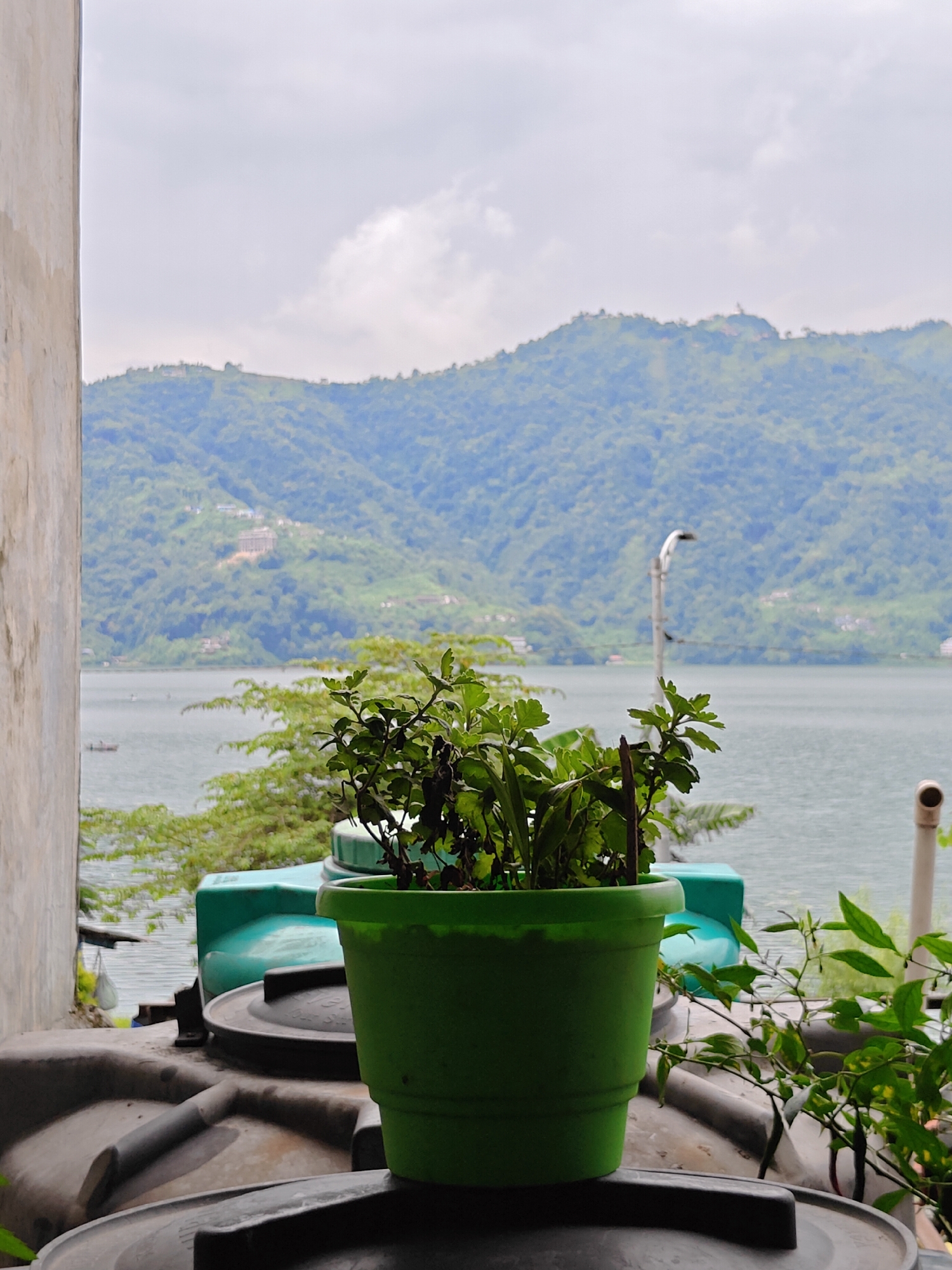 A close-up, low-angle shot focuses on a bright green plastic pot containing a leafy green plant. The pot is placed on top of large, dark grey plastic water tanks, with another smaller, turquoise tank visible behind it. To the left, a textured, light-colored wall occupies the edge of the frame.
In the background, a calm body of water, likely Phewa Lake in Pokhara, Nepal, stretches out. Across the lake, a densely forested, mist-shrouded mountain range rises. Several small buildings are scattered on the lower slopes of the mountains, and a prominent white building or stupa sits atop one of the higher peaks. A few small boats are visible on the water, and a lamppost stands near the lake's edge on the mountain side. The sky is overcast with grey clouds.