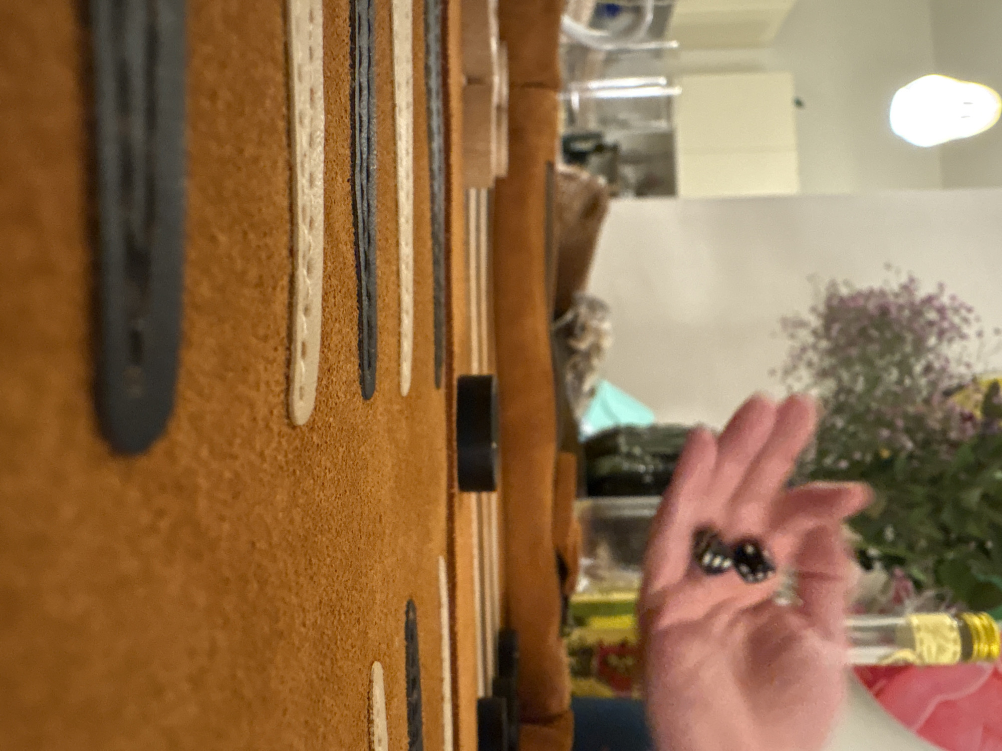 A close-up shot captures a backgammon board made of brown material, with dark and light inlays running vertically. A hand is visible in the foreground, holding two dice. The background is blurred, featuring interior elements, including a floral arrangement and assorted objects on a shelf or table. The location and city are not discernible from the provided image.