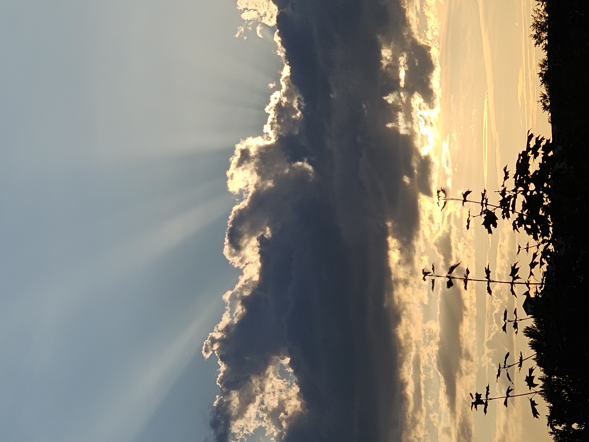 The image depicts a dramatic sunset scene over Khimki, Russia. The primary subjects are the sky, characterized by a striking contrast between dark, ominous clouds and bright, golden sunlight. Sunbeams radiate from behind the clouds, creating a god-ray effect. Silhouetted against the vibrant sky are the dark shapes of trees and branches, particularly noticeable in the foreground on the right side, adding depth and a sense of scale.
The scene captures a moment of transition, with the fading daylight casting long shadows and illuminating the clouds from within. The overall mood is one of awe and perhaps a touch of melancholy, evoked by the intense colors and the looming presence of the dark clouds. The time of day is clearly sunset, evidenced by the warm, low-angle sunlight and the rich hues of orange and gold in the sky.
There is no visible text in the image. The location, Khimki, Russia, is provided as context, suggesting an outdoor setting likely at the edge of a forest or park as dusk settles. The weather appears to be dynamic, with a mix of cloud cover and clear patches allowing for the dramatic light display. The image is vertically oriented.