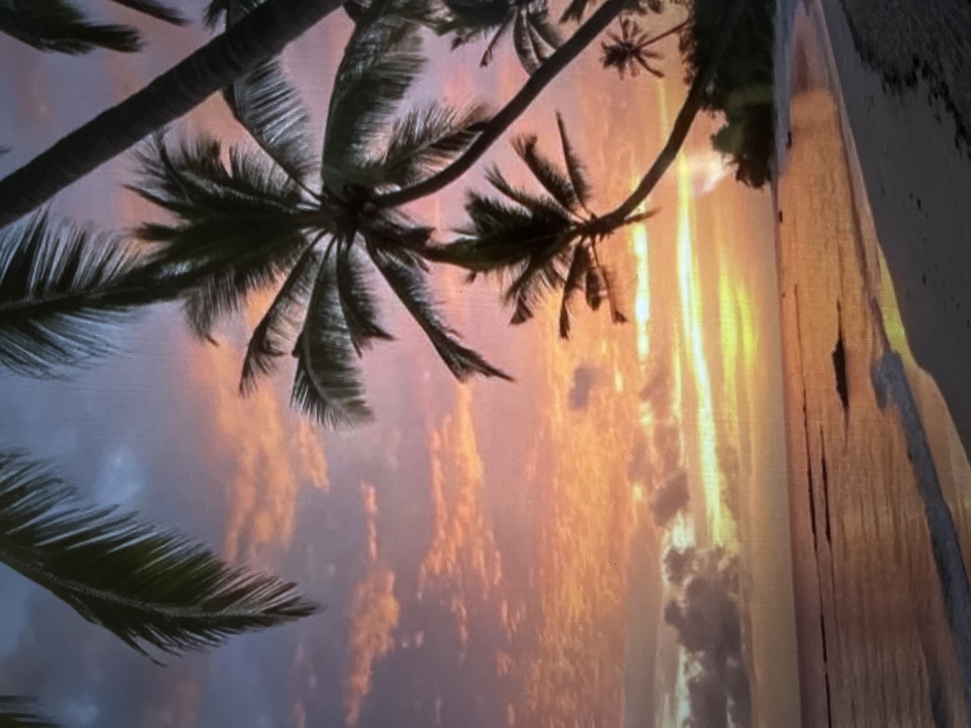 The image depicts a tropical beach scene at sunset. Palm trees with their fronds are silhouetted against a vibrant sky painted with hues of orange, pink, and purple. The ocean gently laps at the sandy shore, with small waves breaking. The water reflects the colorful sky, creating a warm, inviting glow. The overall atmosphere is serene and picturesque. The location is unknown.