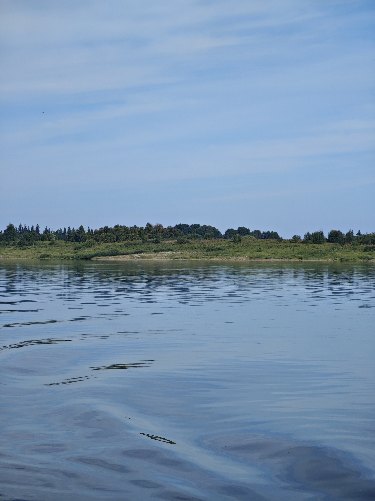 The image depicts a wide, calm river with gentle ripples on its surface. The foreground is dominated by the water, reflecting the soft blue of the sky and the darker hues of the distant shoreline. The shoreline in the middle ground is lined with a dense, green forest, with a strip of lighter green vegetation closer to the water. The sky above is a pale blue, with thin, wispy clouds streaked horizontally across it. Two small, dark birds are visible in the sky in the upper left portion of the frame. The scene appears to be a natural, undeveloped landscape. The location is identified as the city of Krivlyak, Russia.