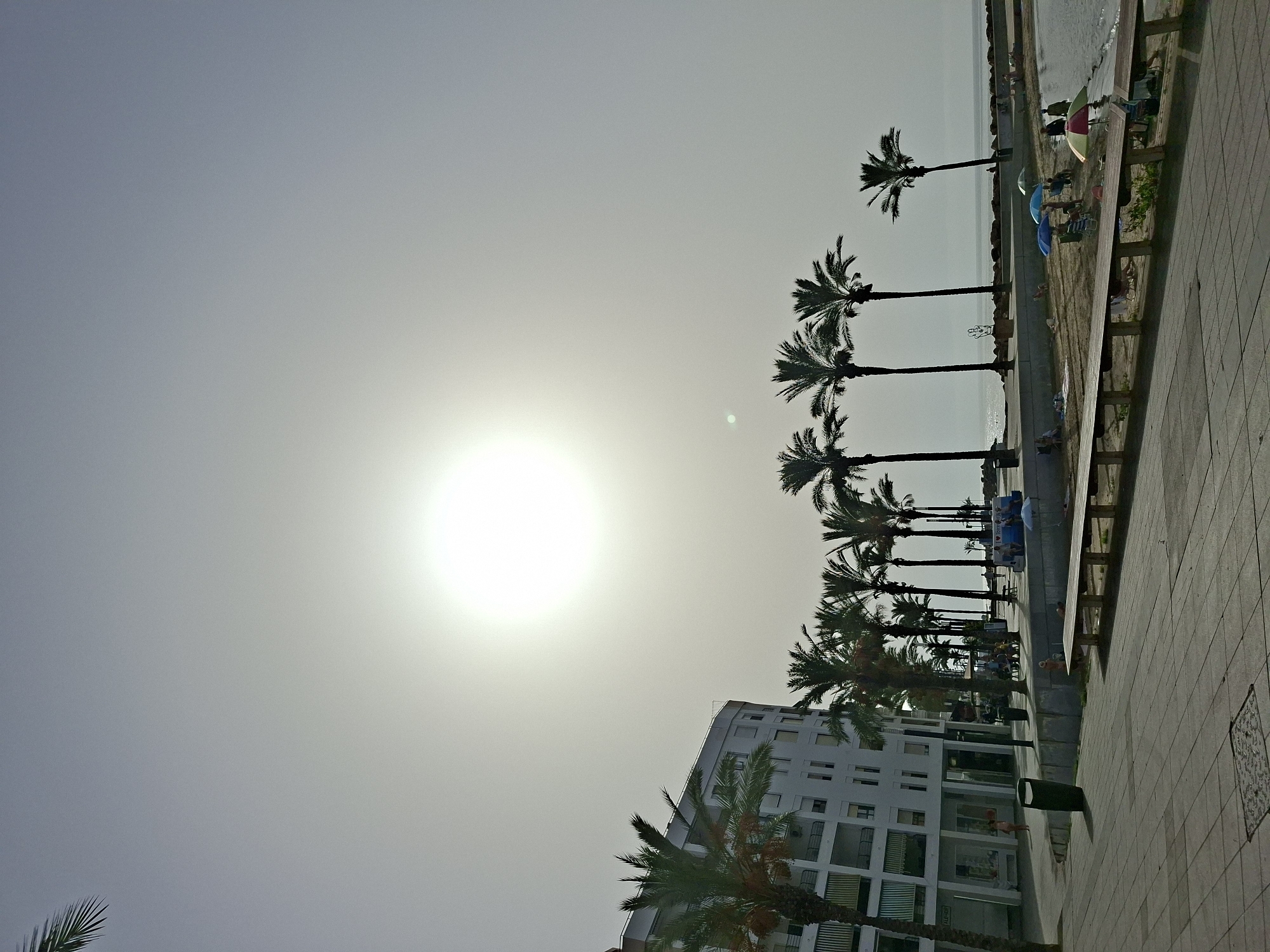 The image depicts a coastal promenade in Torrevieja, Spain, on a bright, hazy day. A large, bright sun is prominently visible in the upper center of the frame, casting a glare that washes out the sky. A modern, white building with multiple balconies and green awnings lines the left side of the promenade, interspersed with several tall, slender palm trees silhouetted against the bright sky.
The promenade itself is paved with light-colored square tiles, with a darker tiled rectangle in the lower left corner. To the right of the promenade, there is a raised concrete wall separating it from a sandy beach area. On the beach, several people are visible, some sitting under colorful umbrellas, others lying on towels. Beach chairs and a wooden bench are also present. The ocean is visible beyond the beach, with gentle waves lapping the shore. Another row of palm trees stands between the promenade and the beach, further contributing to the tropical atmosphere. A few trash bins are placed along the promenade, and a man is seen walking on the beach. The scene conveys a typical day at the seaside, with a relaxed, vacation-like ambiance.