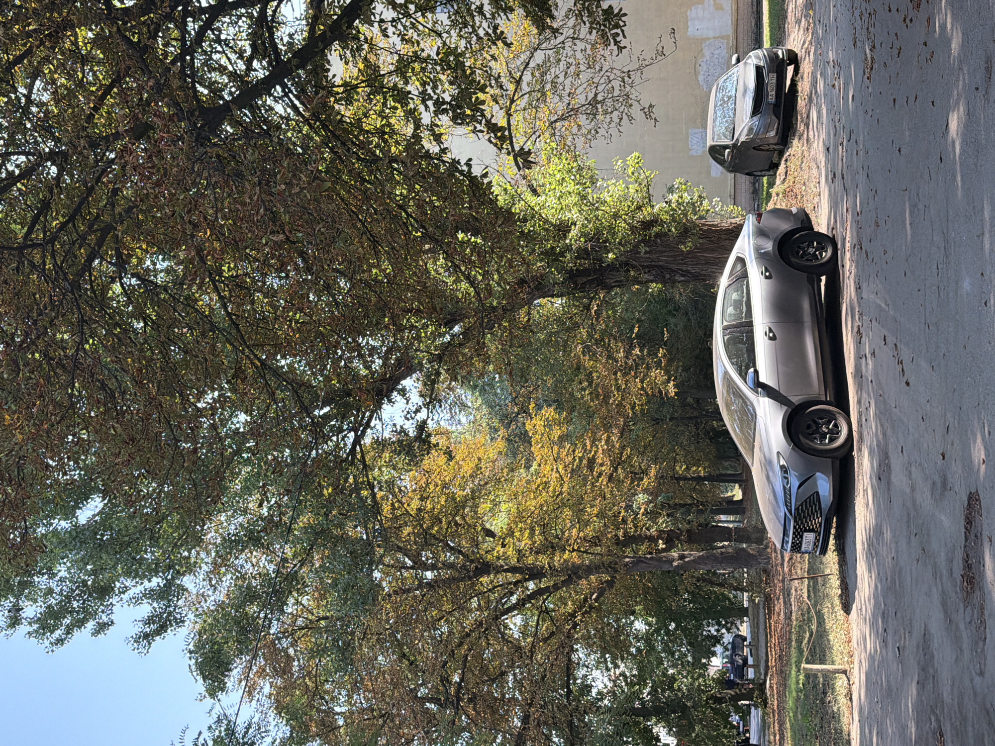 The image shows two cars parked on a dirt road next to a grassy area with trees. The trees have leaves that are transitioning from green to yellow and brown, suggesting it is autumn. The sky is blue and clear. The car in the foreground is a silver sedan. The car in the background is a dark-colored sedan. A building with a light-colored facade is visible behind the trees. The scene appears to be in a park or a residential area. The license plate of the car in the foreground is partially visible and reads "KA 6063 TI". The license plate of the car in the background reads "AA 1603 TH". The presence of these license plates indicates the location is likely Ukraine, and the context of similar scenes in Kyiv suggests this could be a typical street or park scene in the city.
