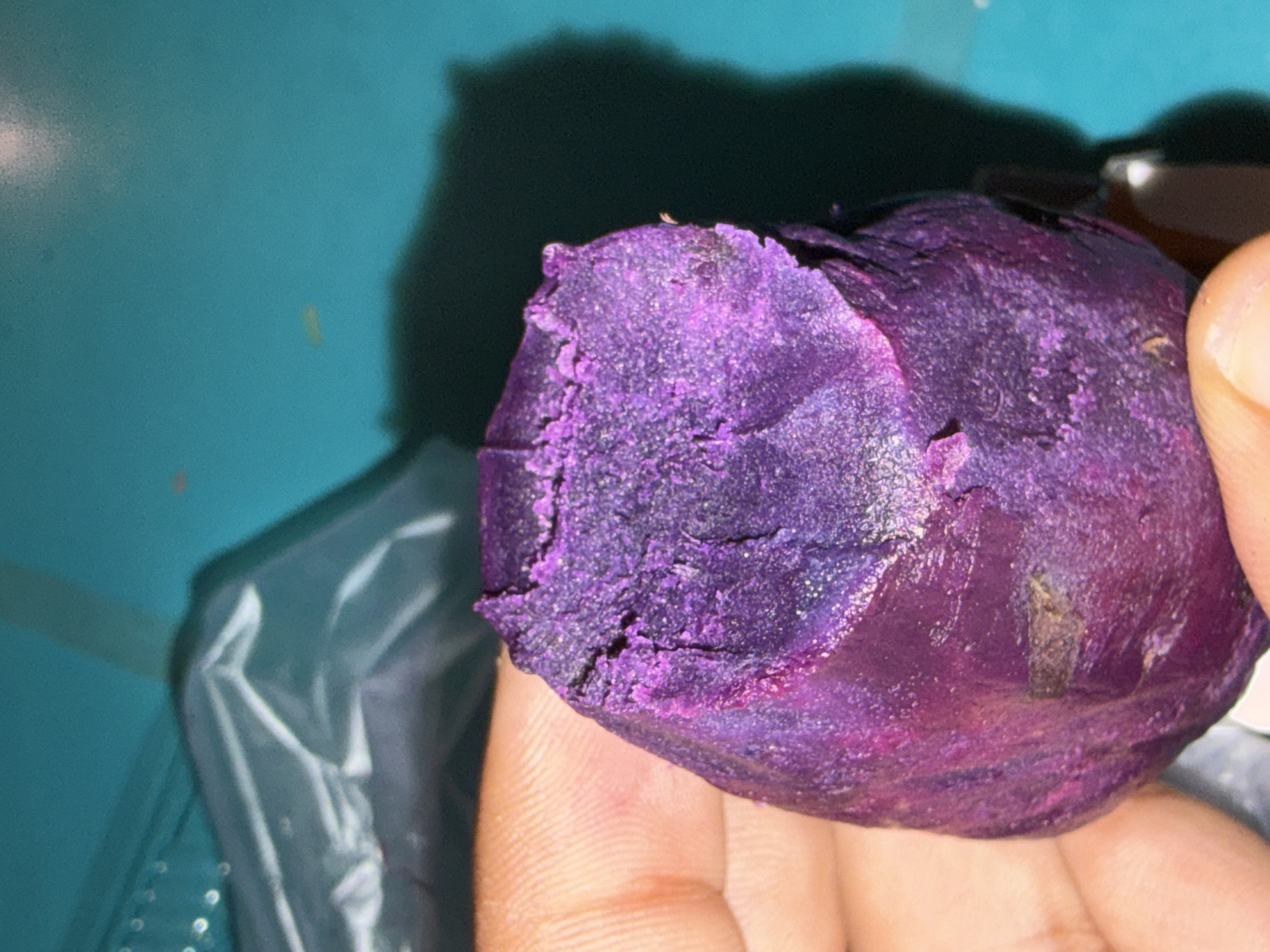 A close-up shot shows a hand holding a bright purple sweet potato. The sweet potato is roughly oval-shaped and has a textured, slightly crumbly surface. It appears to have been peeled or broken open, revealing the vibrant purple flesh. The background is a bright teal surface, possibly a table, with a dark shadow cast by the sweet potato and the hand. A portion of a clear plastic bag is visible in the upper left quadrant of the image. There is no identifiable information about the location in Tupah, Indonesia.