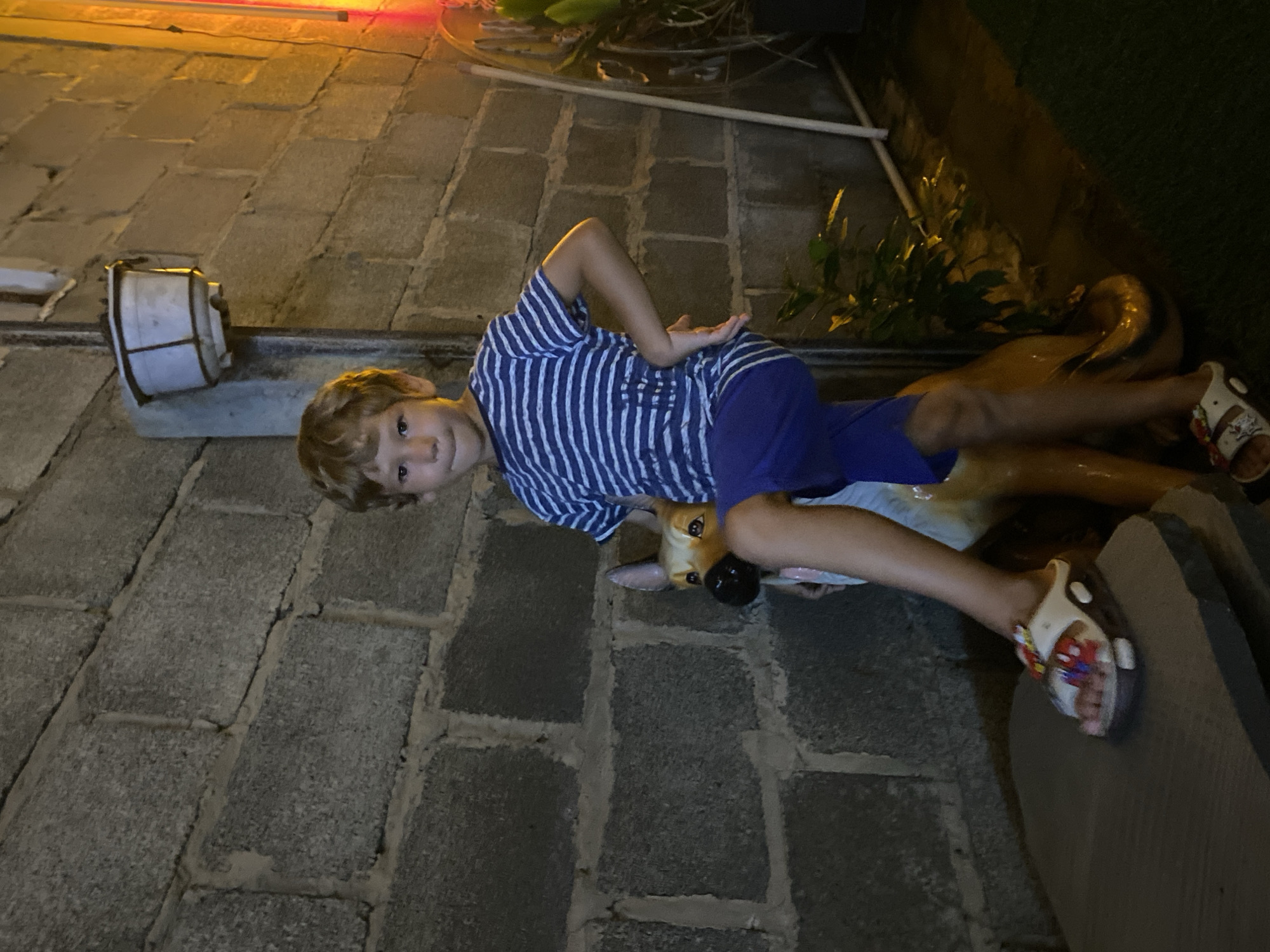 A young boy with blond hair and blue and white striped t-shirt and blue shorts poses with his right leg raised on a stone. He is standing in front of a brick wall and a statue of a dog. There is a plant pot on the wall behind him. The scene is illuminated by artificial lighting. The image was taken in Mui Ne, Vietnam.